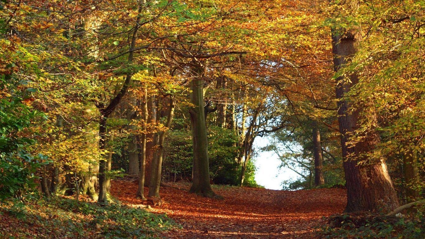 Pennsylvania, Herbstlaub, Landschaft, USA, Natur, 1370x770 HD Desktop