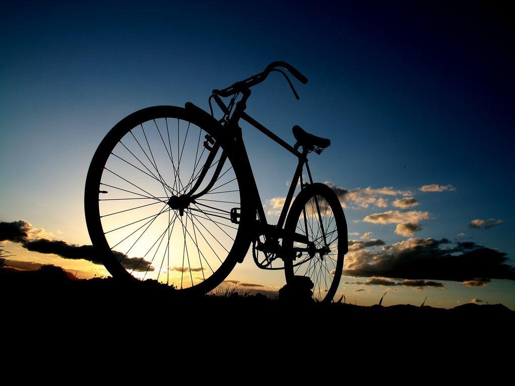 Fahrradbild, 36732px, Fotografie, Radfahren, Landschaft, 1030x770 HD Desktop