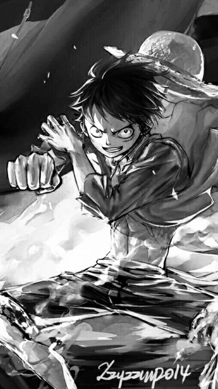 Monkey D. Luffy, Anime, One Piece, Bild, Grafik, 720x1280 HD Handy