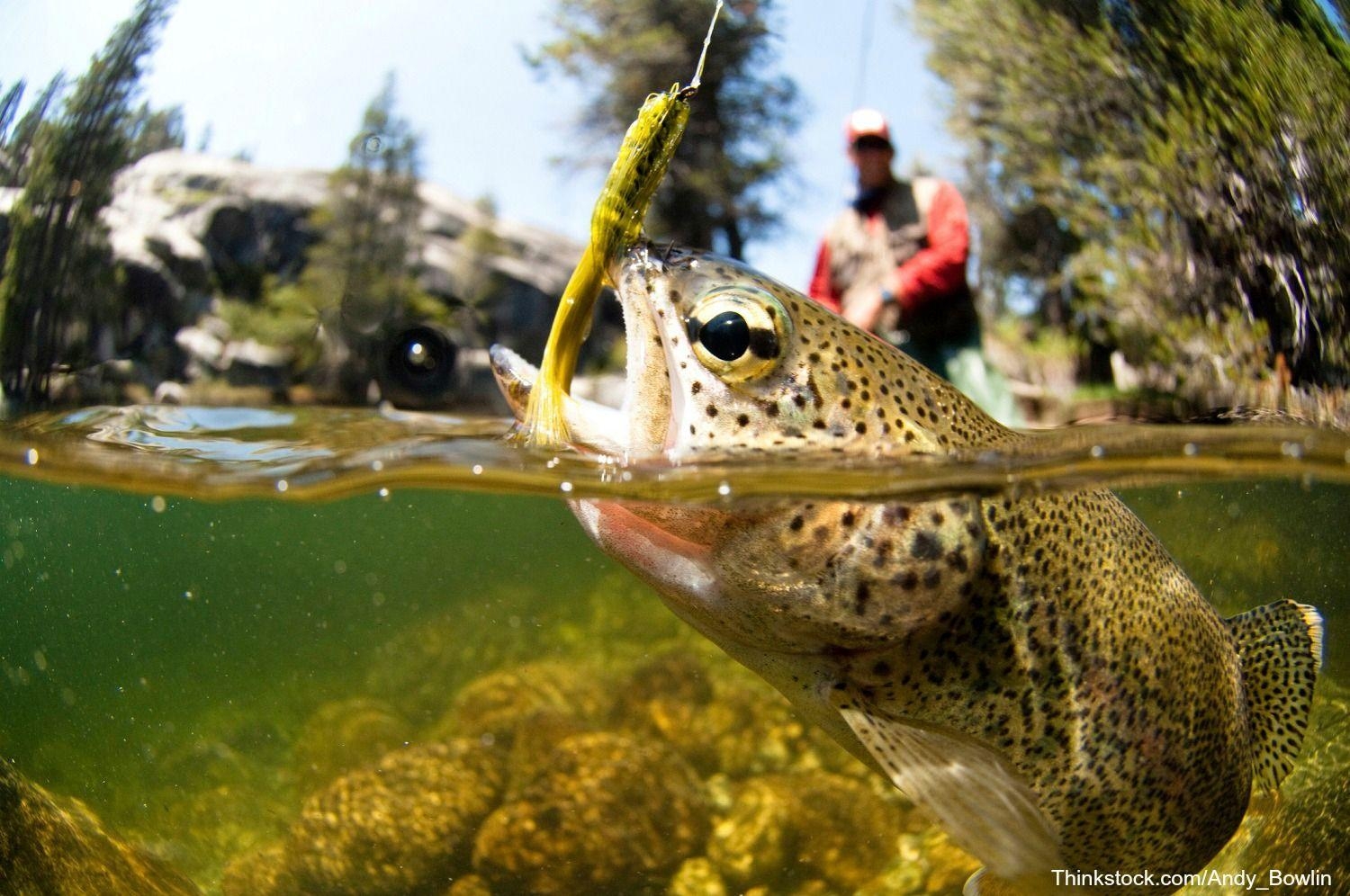 Fliegenfischen, HD, Natur, Sport, Wasser, 1500x1000 HD Desktop