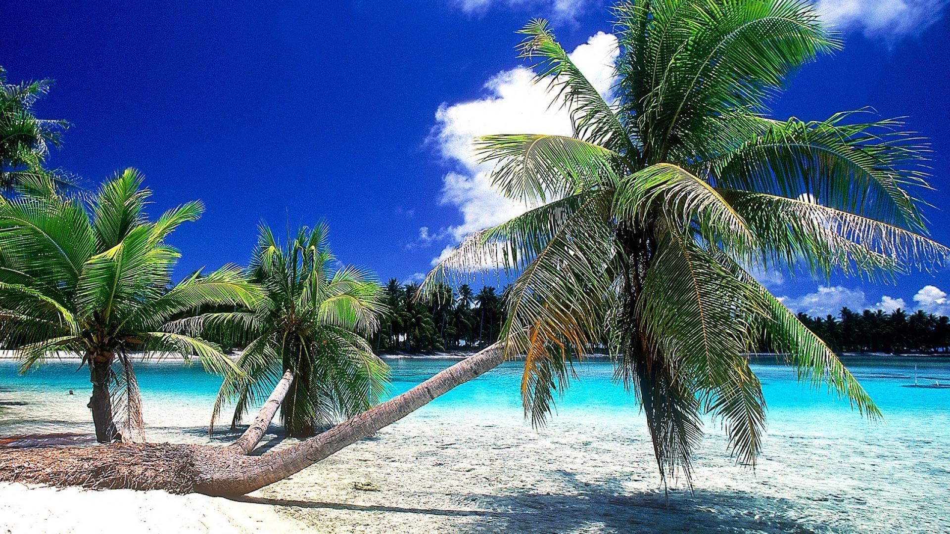 Natur, Französisch-Polynesien, Tahiti, Insel, Reise, 1920x1080 Full HD Desktop