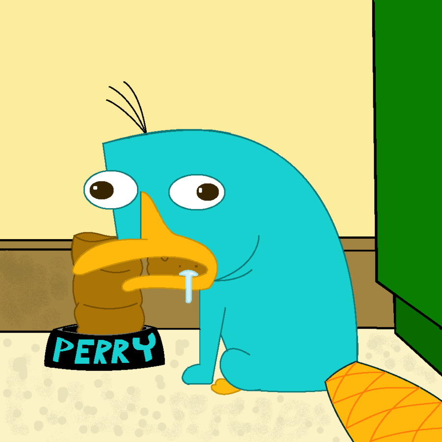 Perry das Schnabeltier, Krank, HD, Hintergrund, Zeichentrick, 900x900 HD Handy