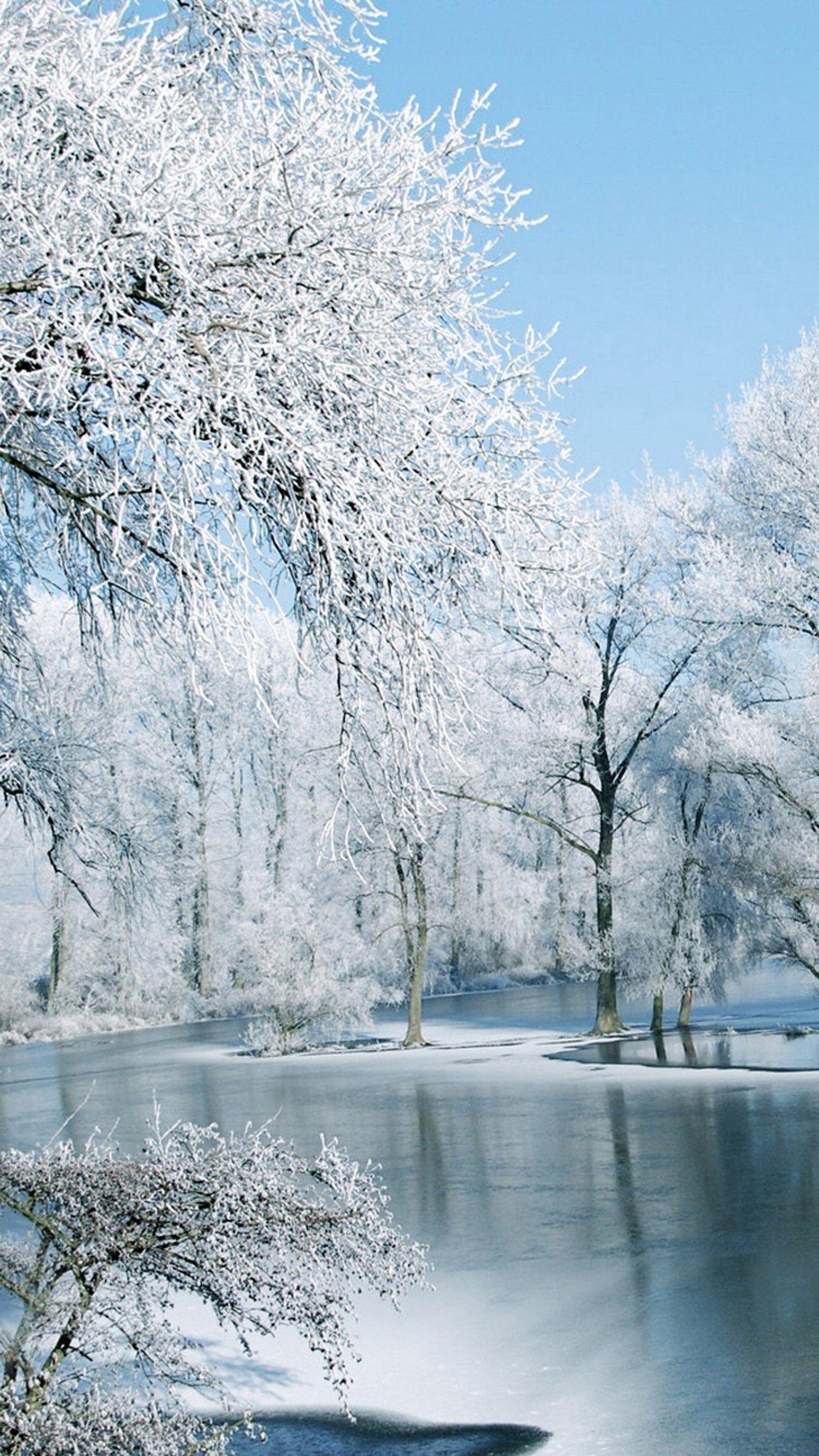 Winter, Natur, HD, LG G3, LG G4, 1440x2560 HD Handy