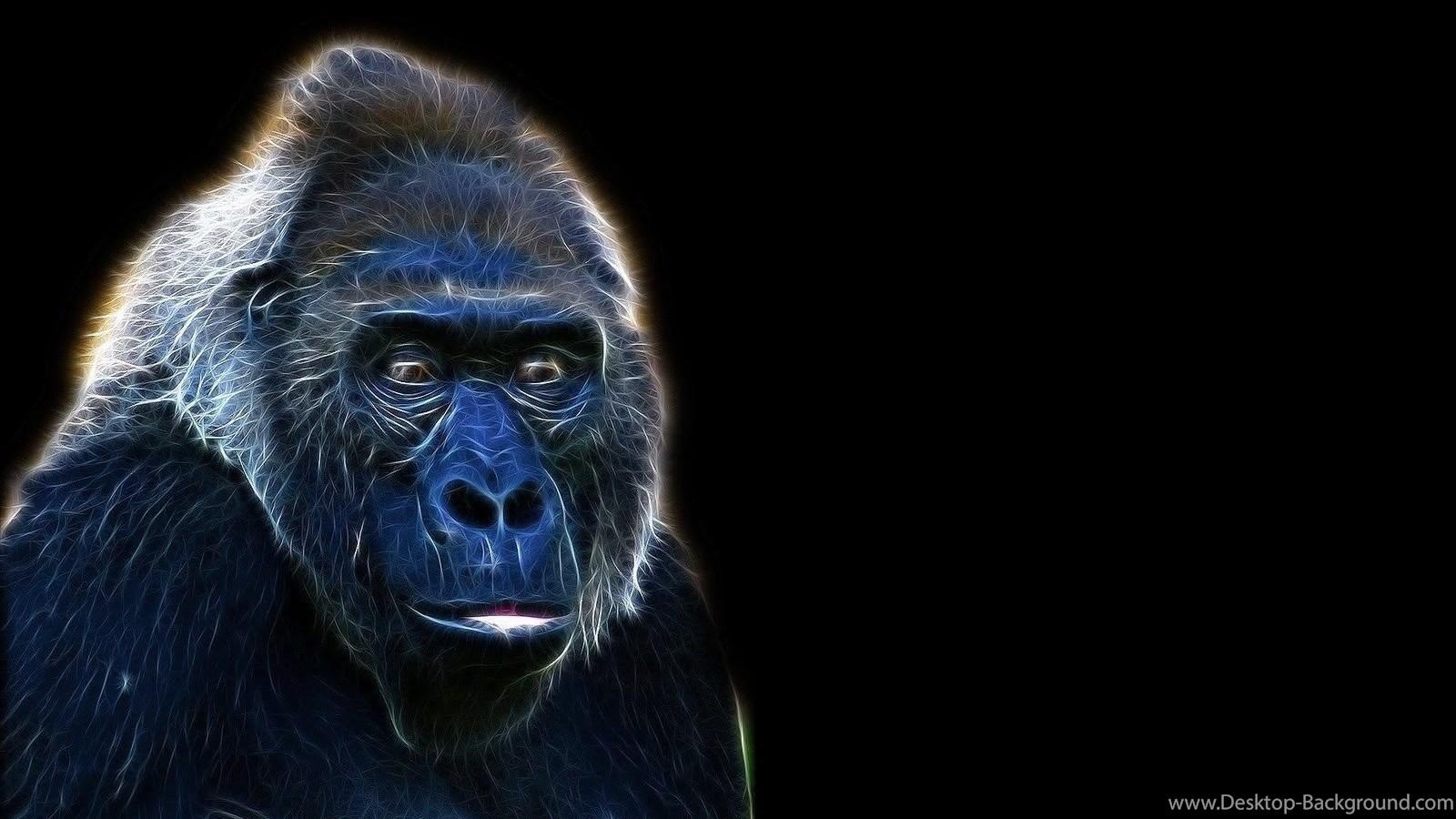 Gorilla, Kostenlos, Hintergrund, HD, Riesig, 1600x900 HD Desktop