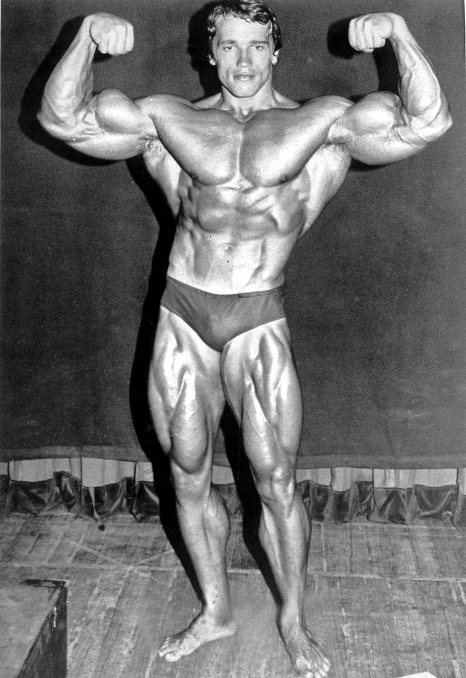 Arnold Schwarzenegger, Bodybuilding, Hintergrundbild, Muskelprotz, Fitness, 930x1350 HD Handy