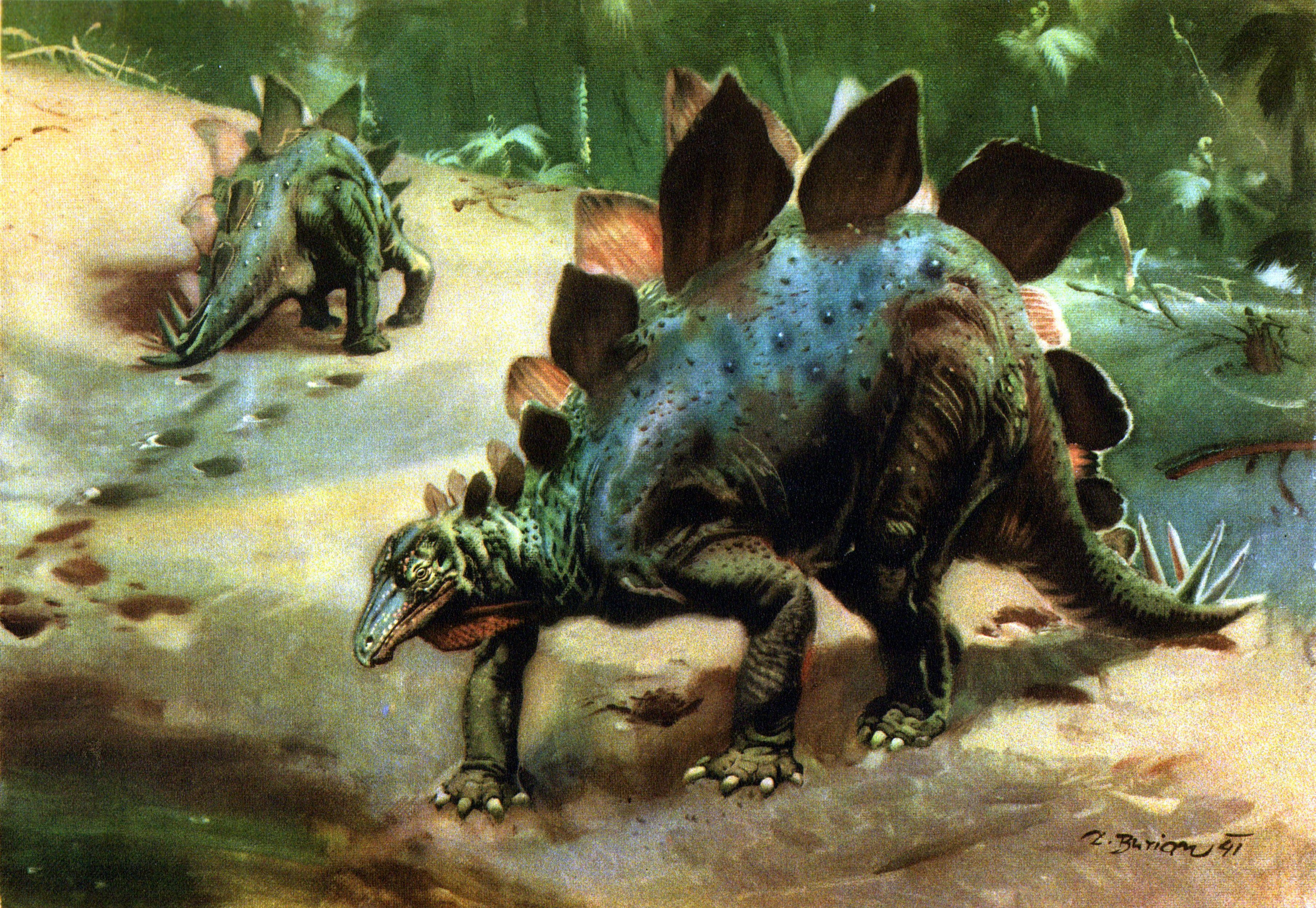 Stegosaurus, Desktop Hintergrund, Dinosaurier, Weitbild, Bild, 3620x2500 4K Desktop