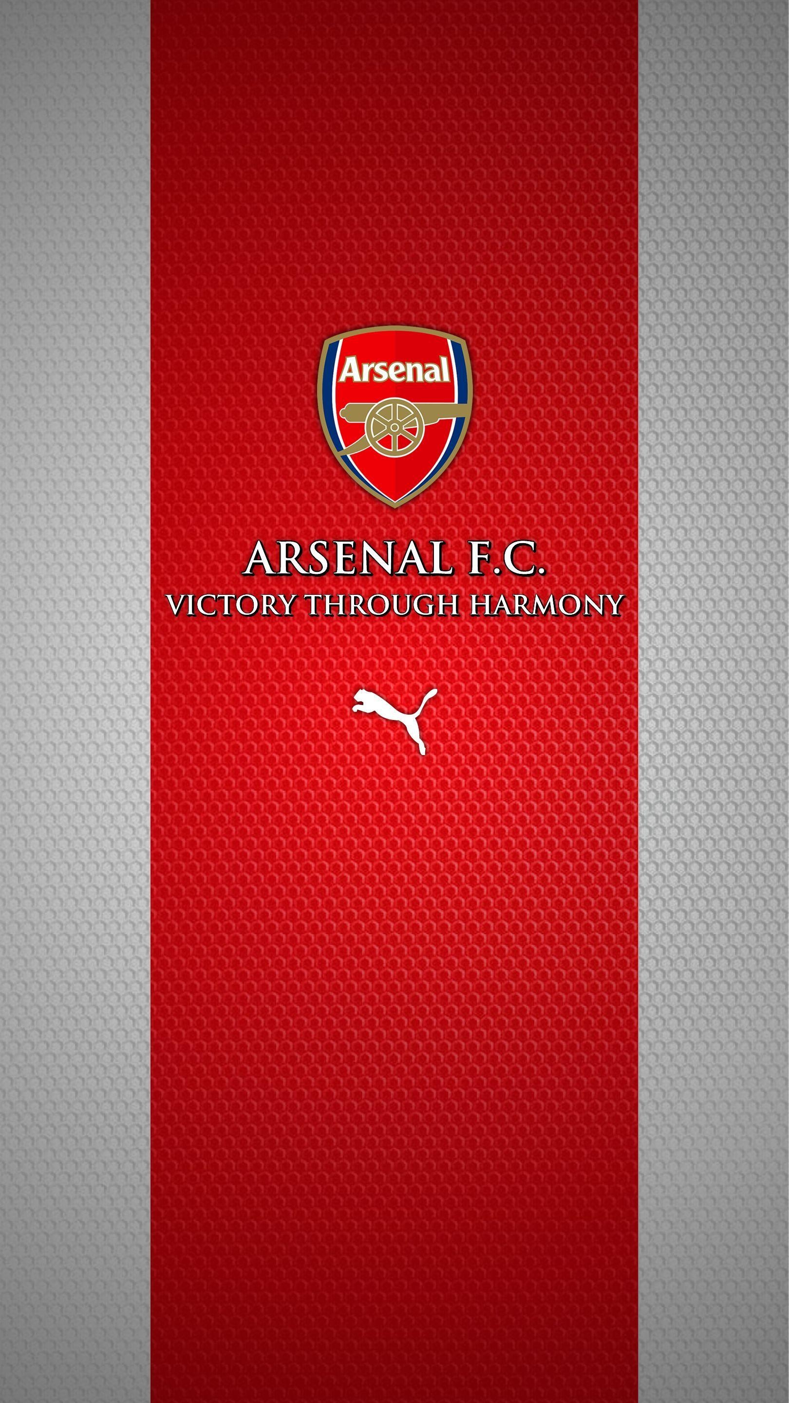 Invincibles, Arsenal FC, Fußball, Gunners, London, 1620x2880 HD Handy