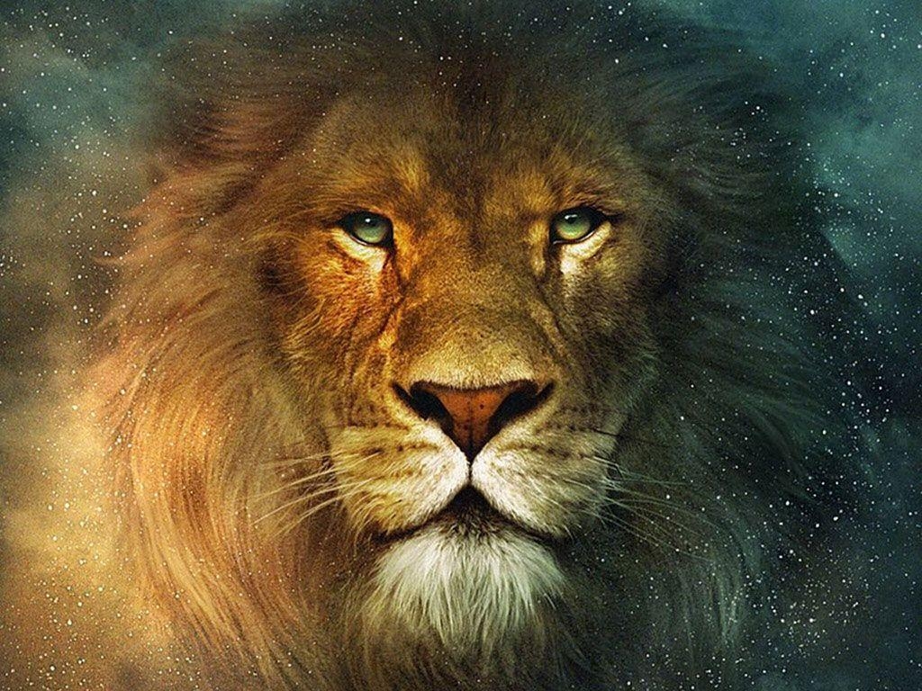 Aslan, Löwe, Chroniken von Narnia, Film, Fantasie, 1030x770 HD Desktop