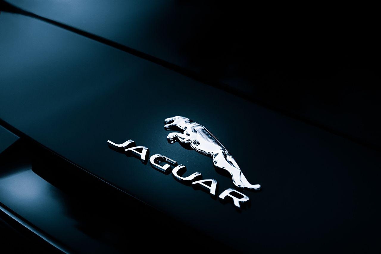 Jaguar Emblem, Auto, Cabrio, F-Type, Logo, 1280x860 HD Desktop