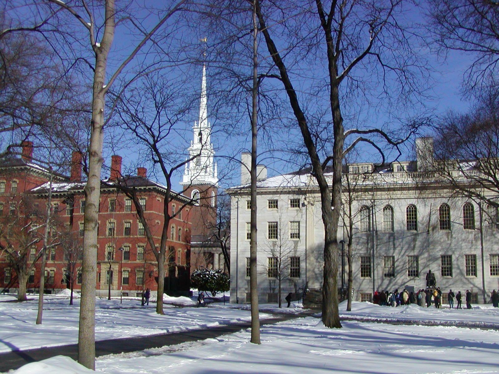 Harvard Universität, USA, beste, Bildung, Tapete, 1600x1200 HD Desktop