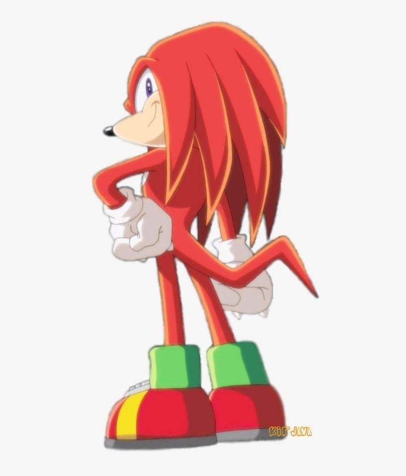 Knuckles, Echidna, Bilder, Emotionen, Gaming, 820x960 HD Handy