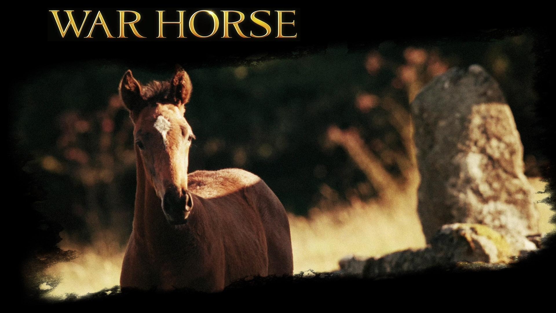 Pferd, Film, War Horse, Hintergrund, Kriegspferd, 1920x1080 Full HD Desktop