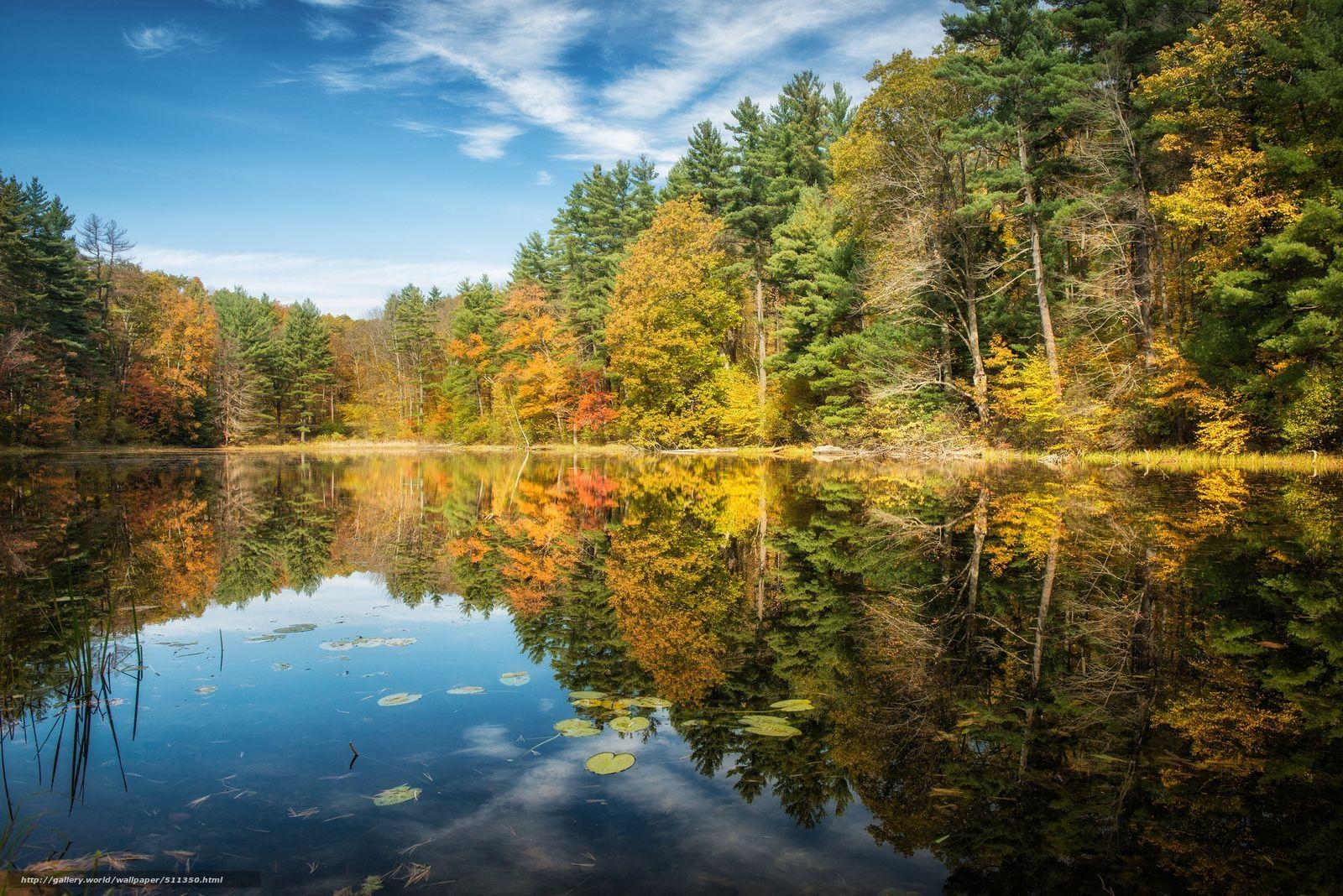 Connecticut, USA, Reise, Landschaft, Natur, 1600x1070 HD Desktop