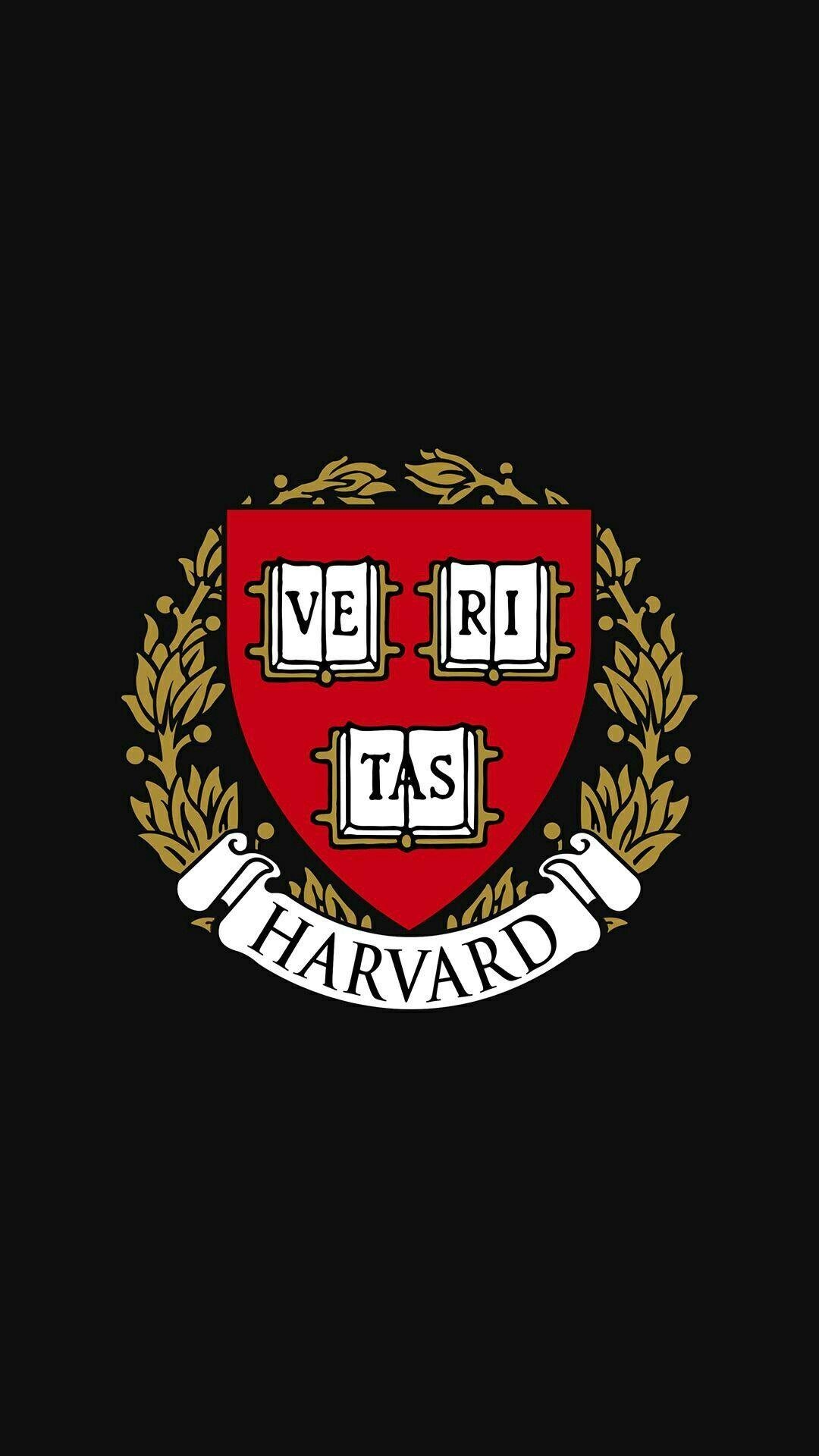 Harvard Universität, USA, Konservativ, Bildung, Diskussion, 1080x1920 Full HD Handy