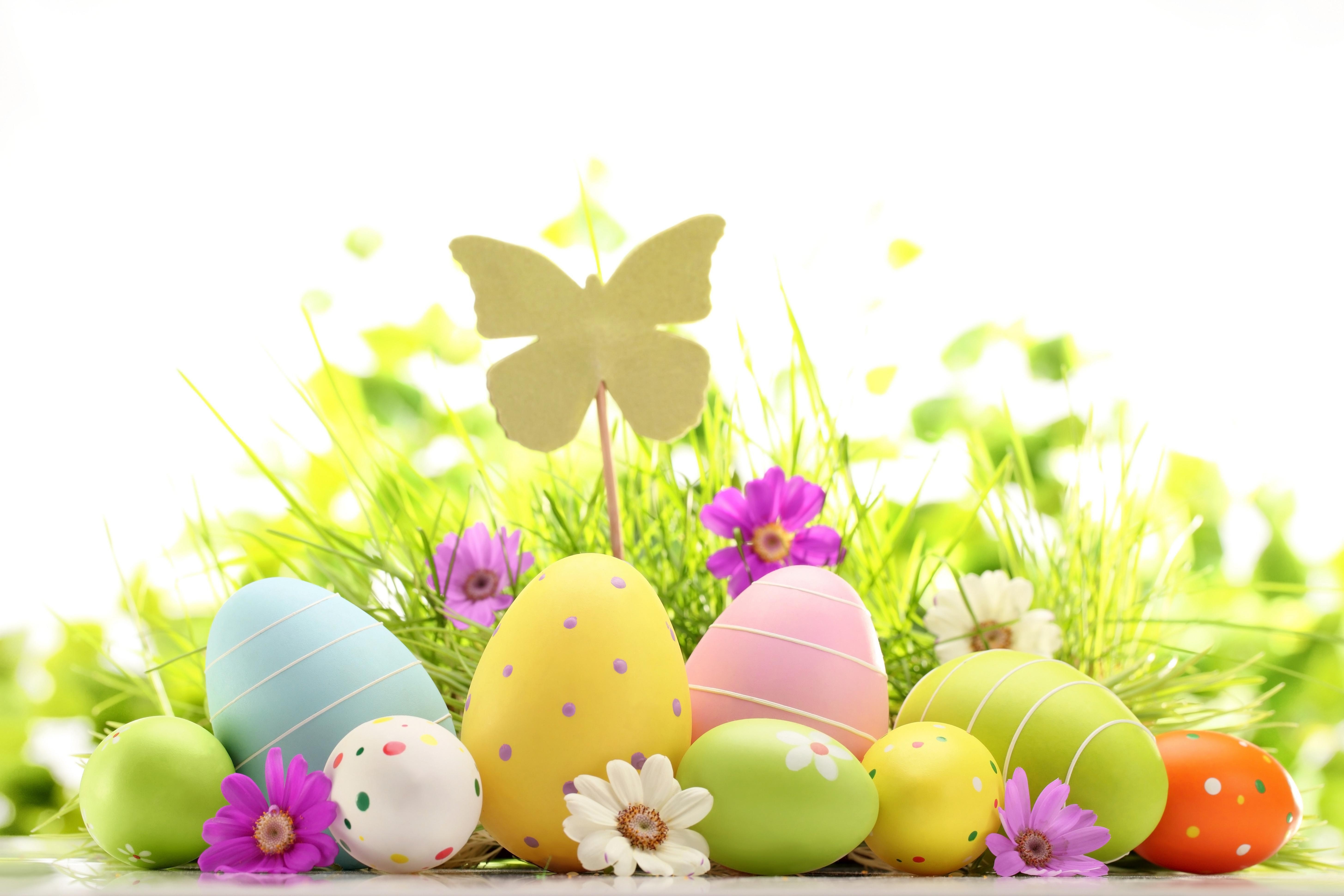 Frohe Ostern HD Bild, 5820x3880 4K Desktop