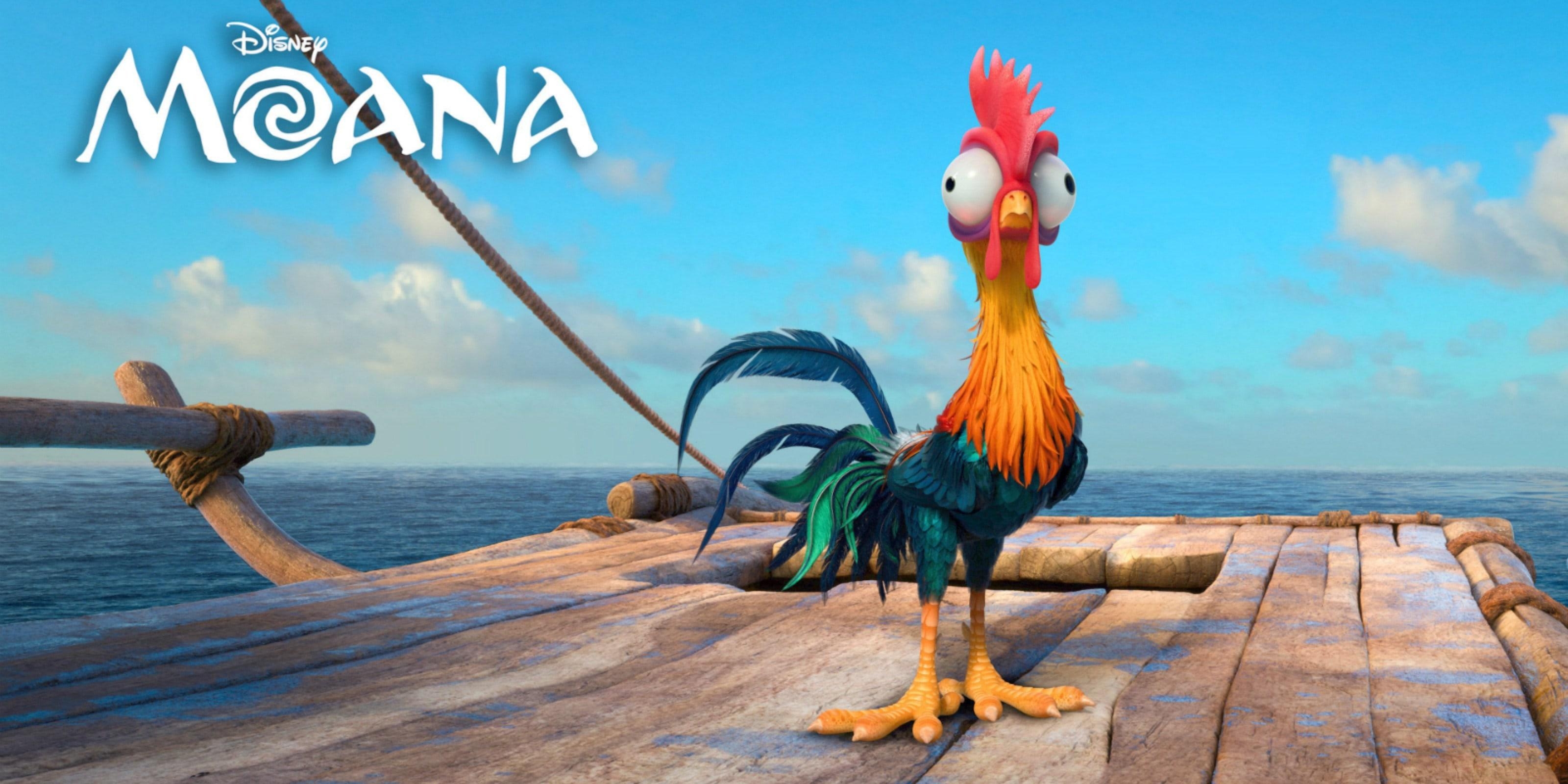 Moana, HD, Darstellung, Charakter, Abenteuer, 3200x1600 Dual Screen Desktop