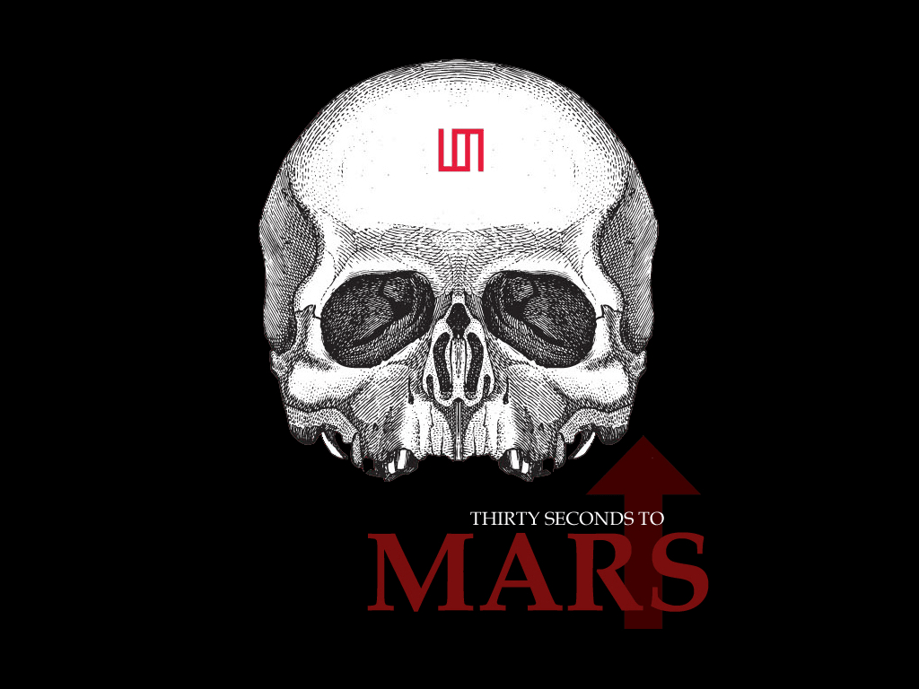 Seconds To Mars, Band, Musik, STM, Hintergrund, 1030x770 HD Desktop