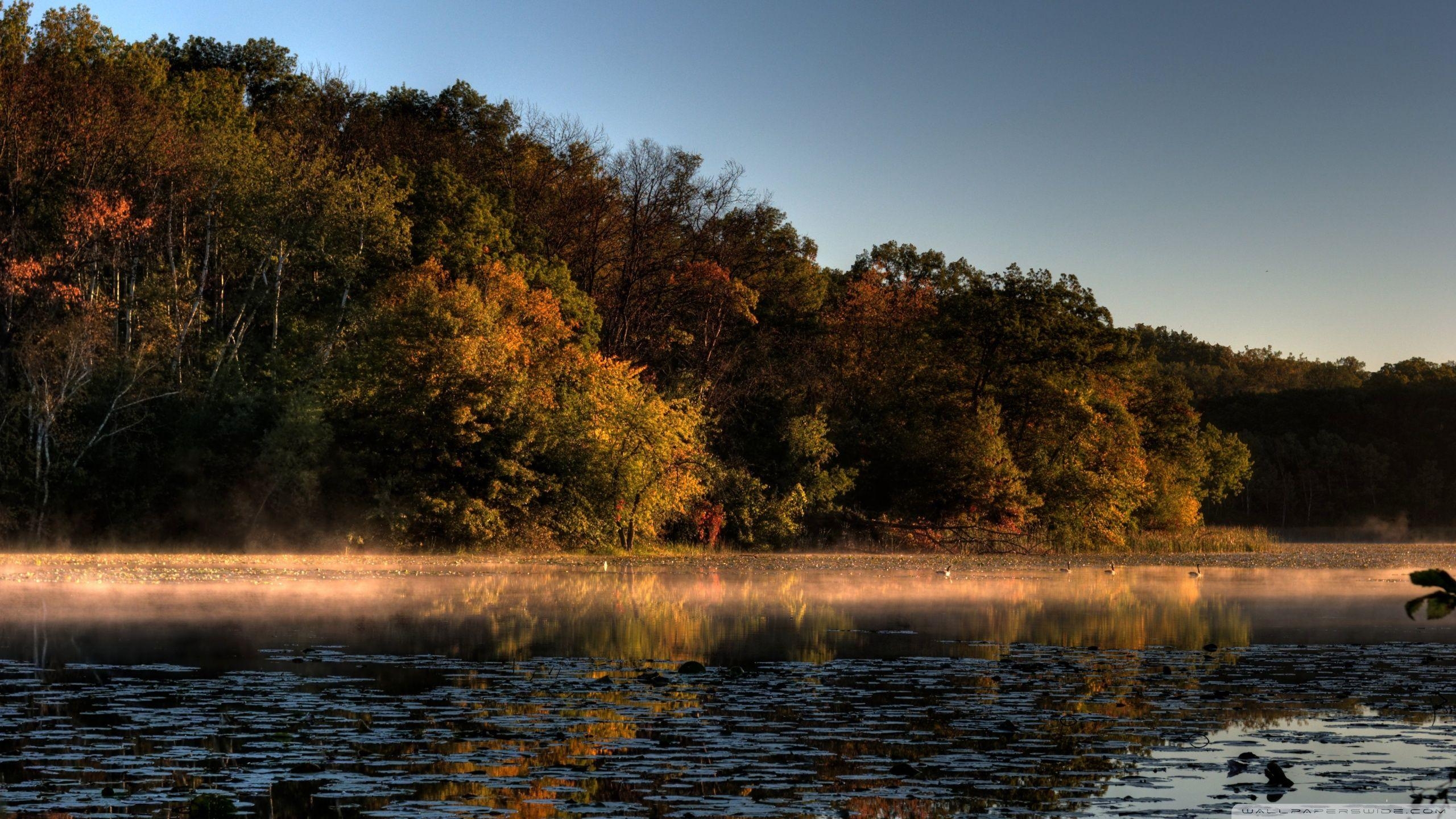 Reisen, Minnesota, JW28UG, Hintergrund, Bild, 2560x1440 HD Desktop