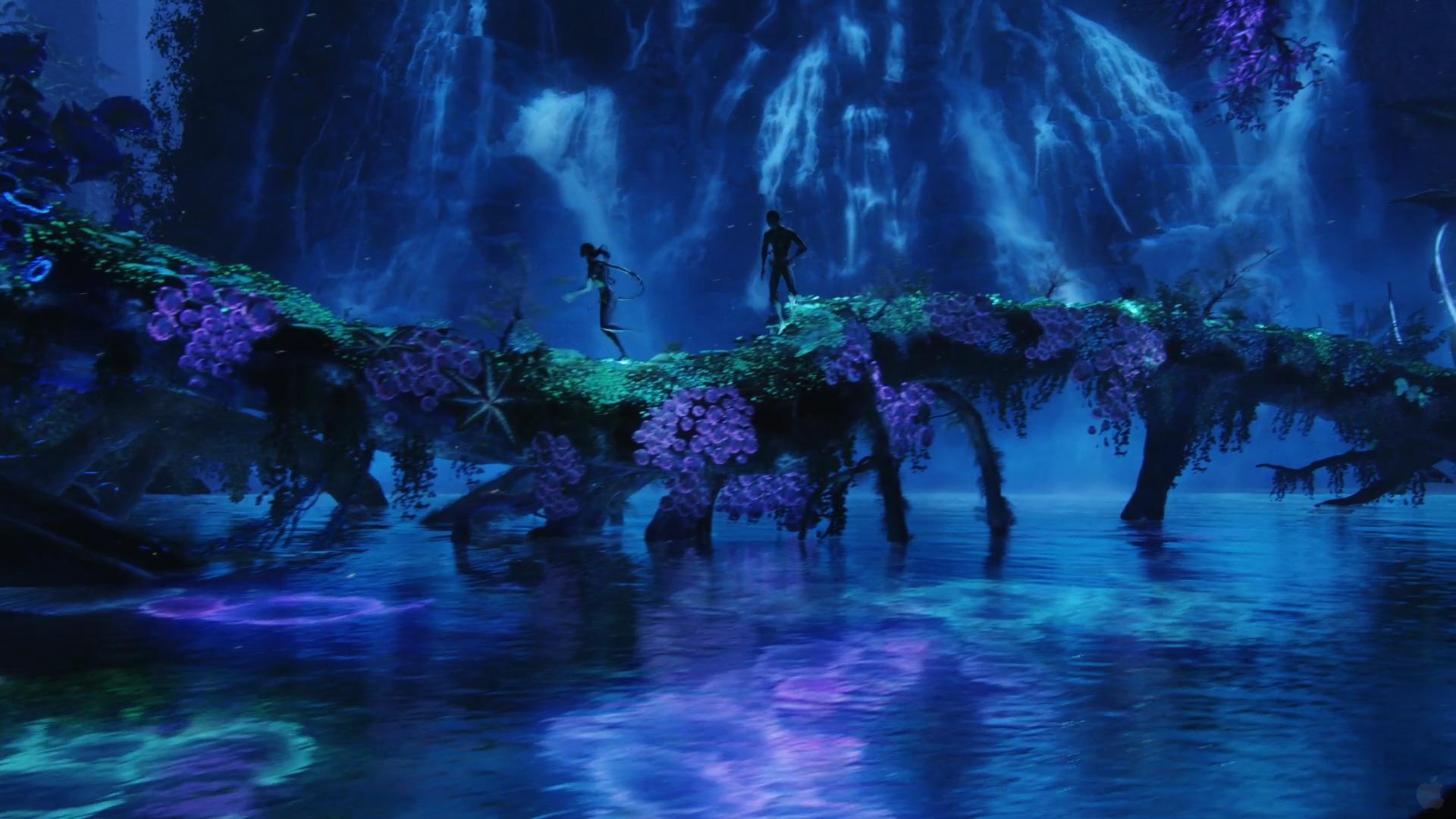 Avatar Kinohits, Na'vi, James Cameron, Filmkunst, 2009, 1920x1080 Full HD Desktop