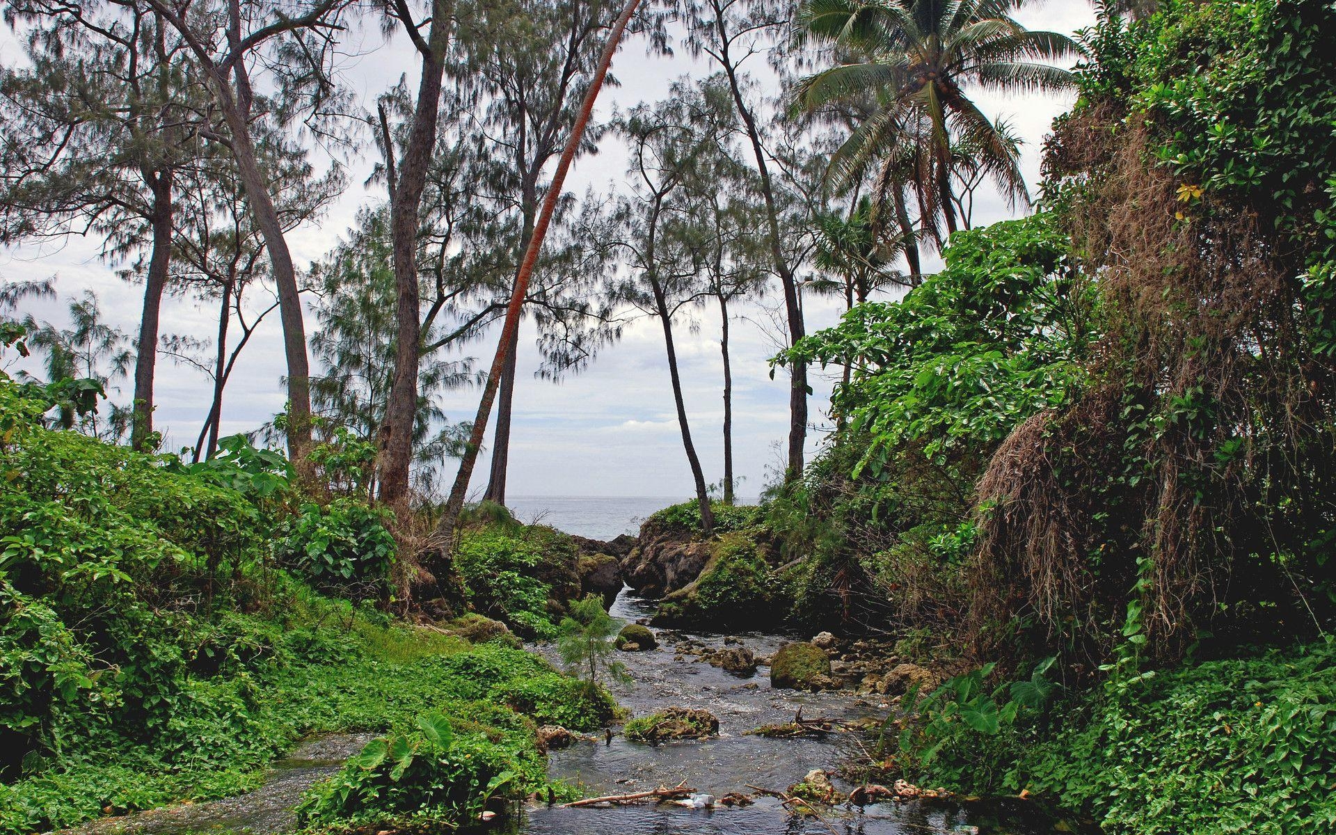 Vanuatu, Insel, Efate, Fluss, Hintergrund, 1920x1200 HD Desktop