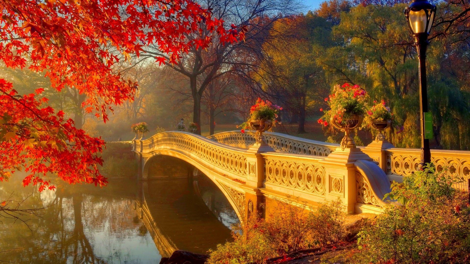 Bogenbrücke, Park, Studio, Natur, Reisen, 1920x1080 Full HD Desktop