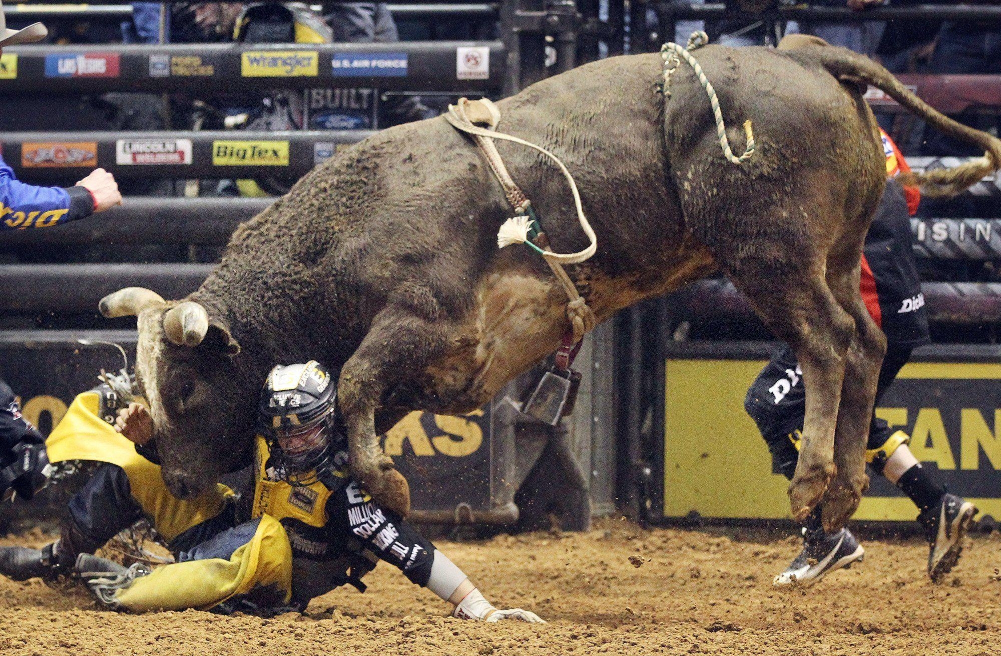 PBR Rodeo, Grenze, Sport, Stierkampf, Abgrenzung, 2000x1320 HD Desktop