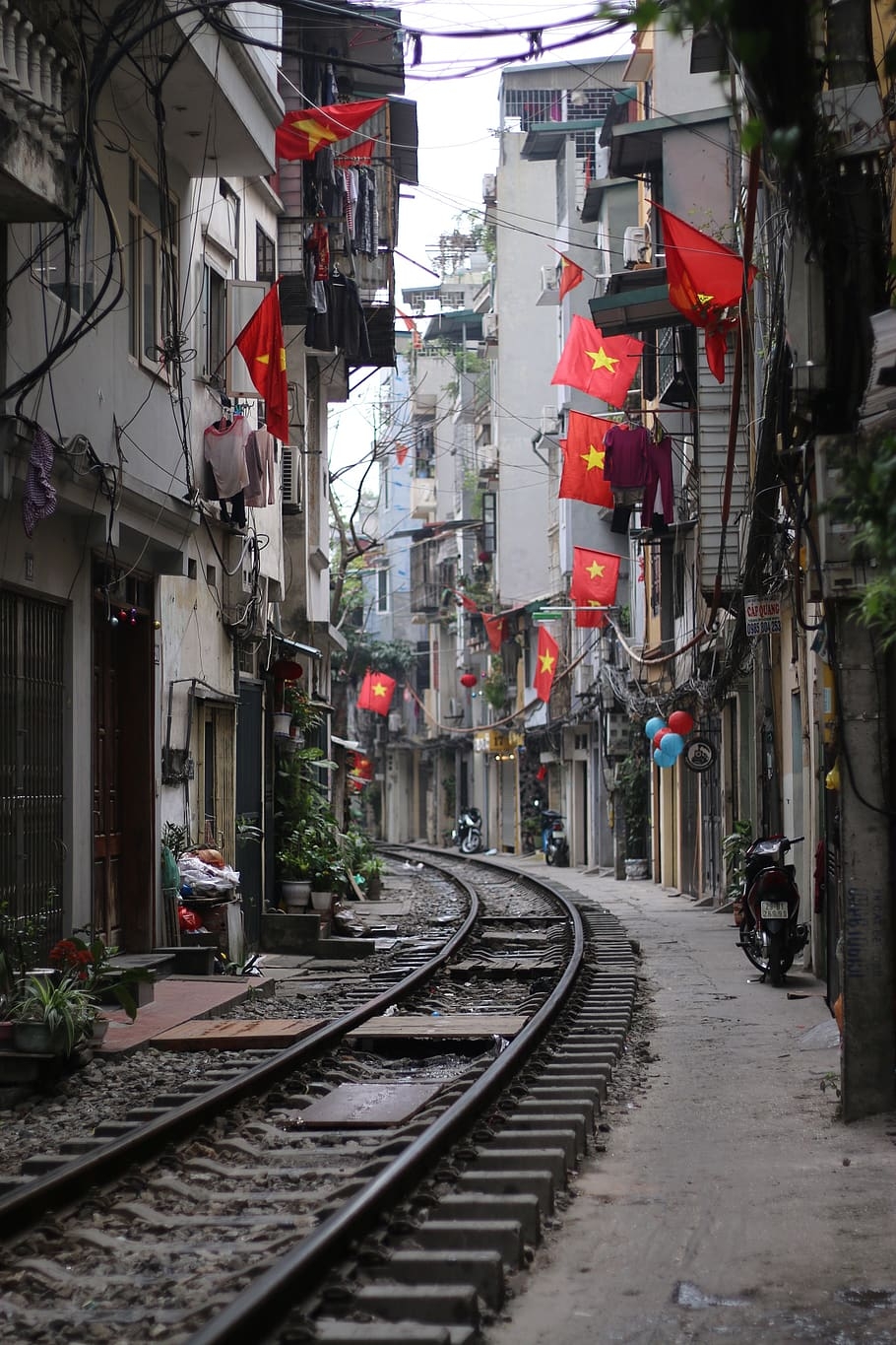 Hanoi, Tet Festival, Vietnam, Frieden, Schönheit, 910x1370 HD Handy