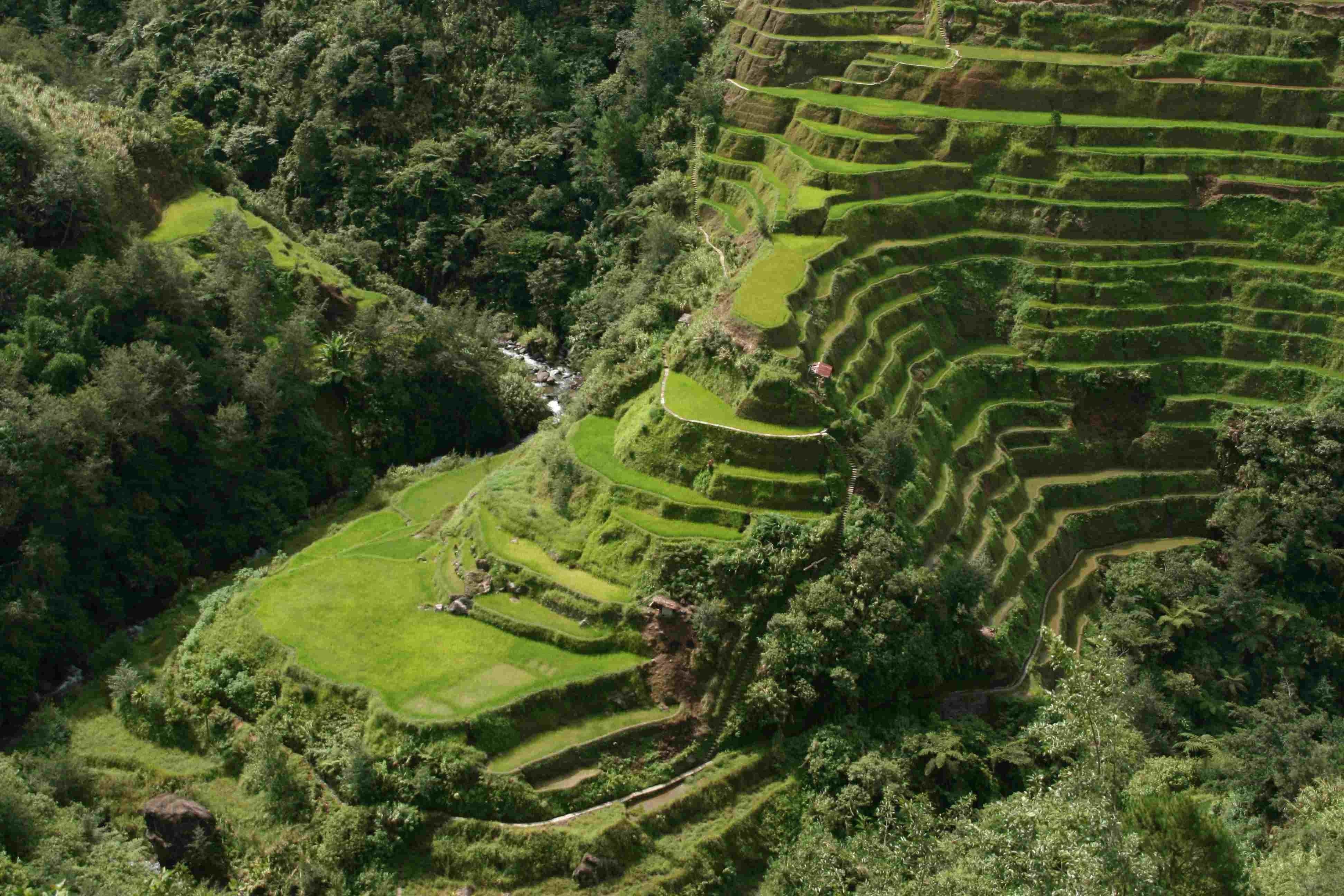 Banaue, Reisterrassen, Reisfelder, Erkundung, Besuch, 3890x2600 4K Desktop