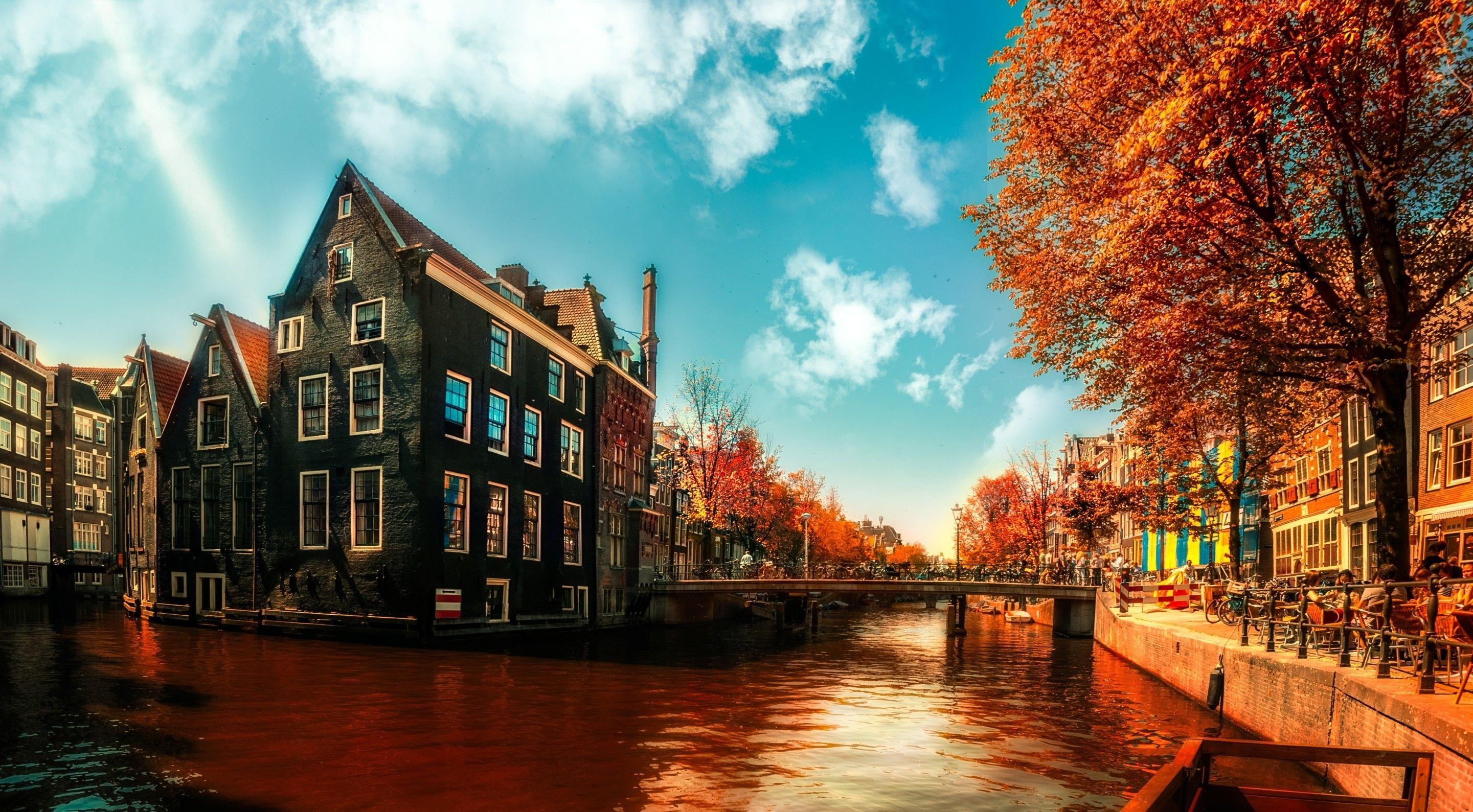 Amsterdam, Reisen, Herbst, Landschaft, Schönheit, 2890x1590 HD Desktop