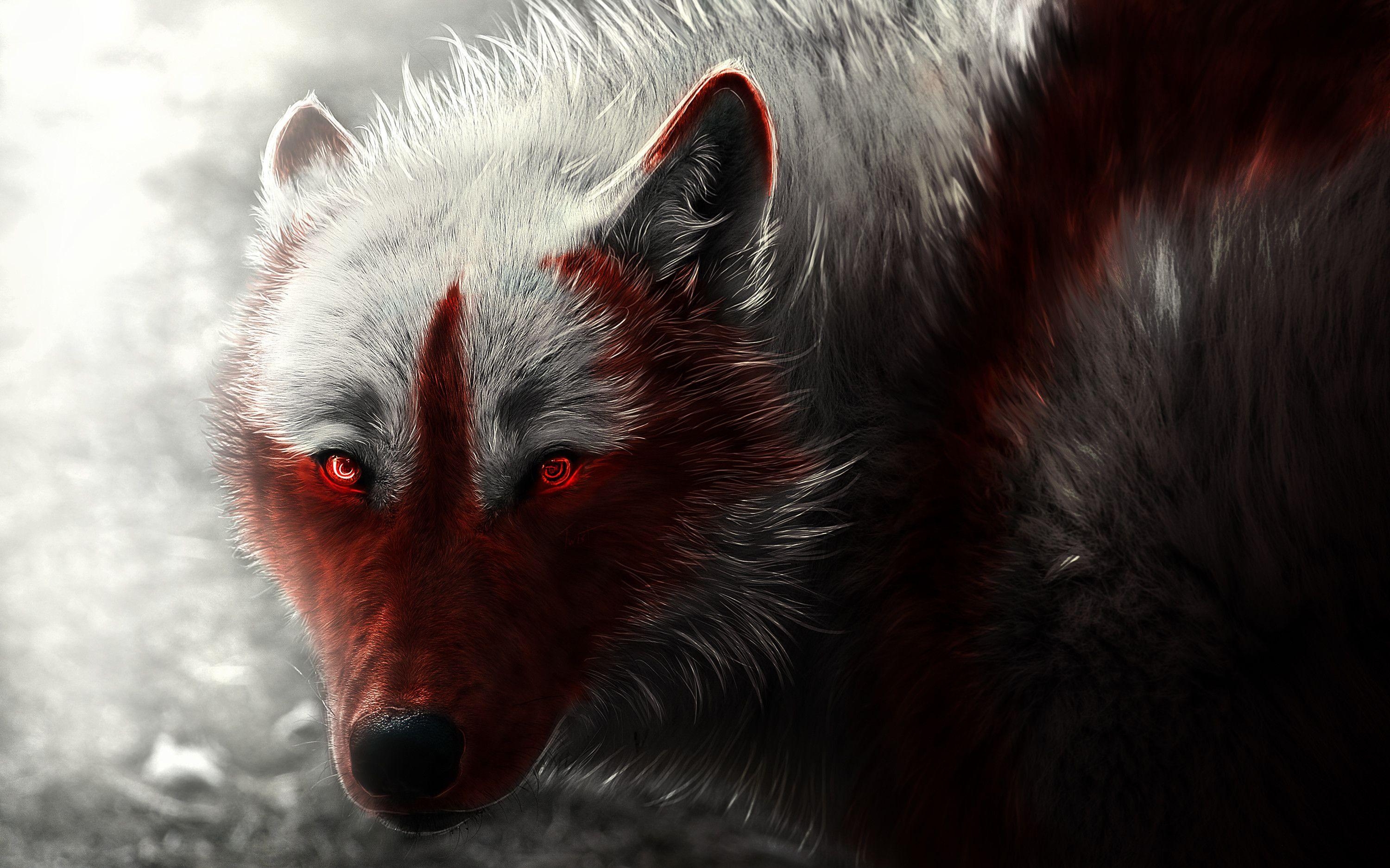 Arktischer Wolf, Hintergrund, Bild, Weiß, Tier, 3000x1880 HD Desktop