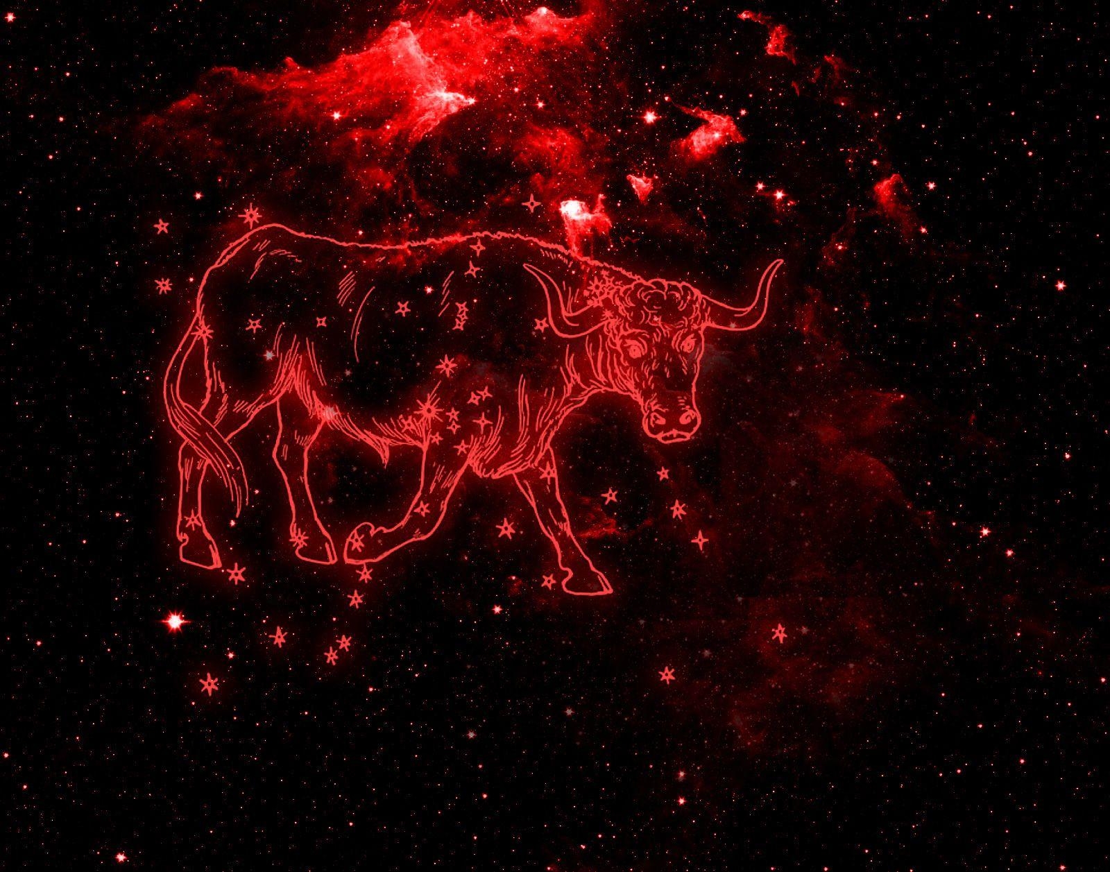 Stier, Beste, HD, Astrologie, Bild, 1600x1260 HD Desktop