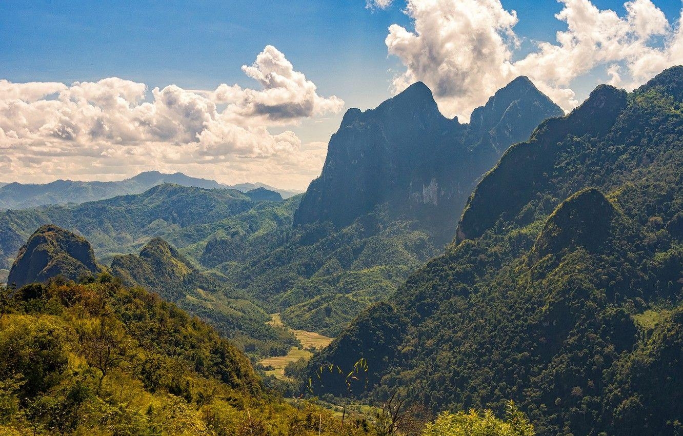 Wald, Himmel, Sonne, Bäume, Berge, 1340x850 HD Desktop