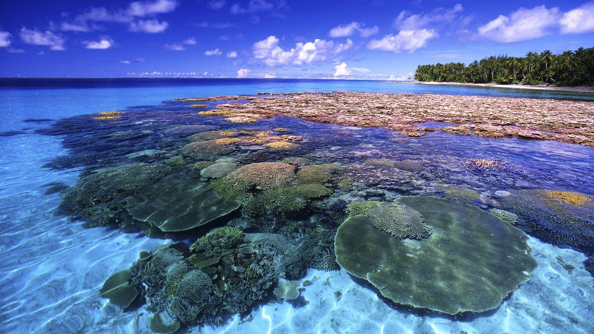 Großes Barriere-Riff, Korallen, Meer, Natur, Australien, 1920x1080 Full HD Desktop