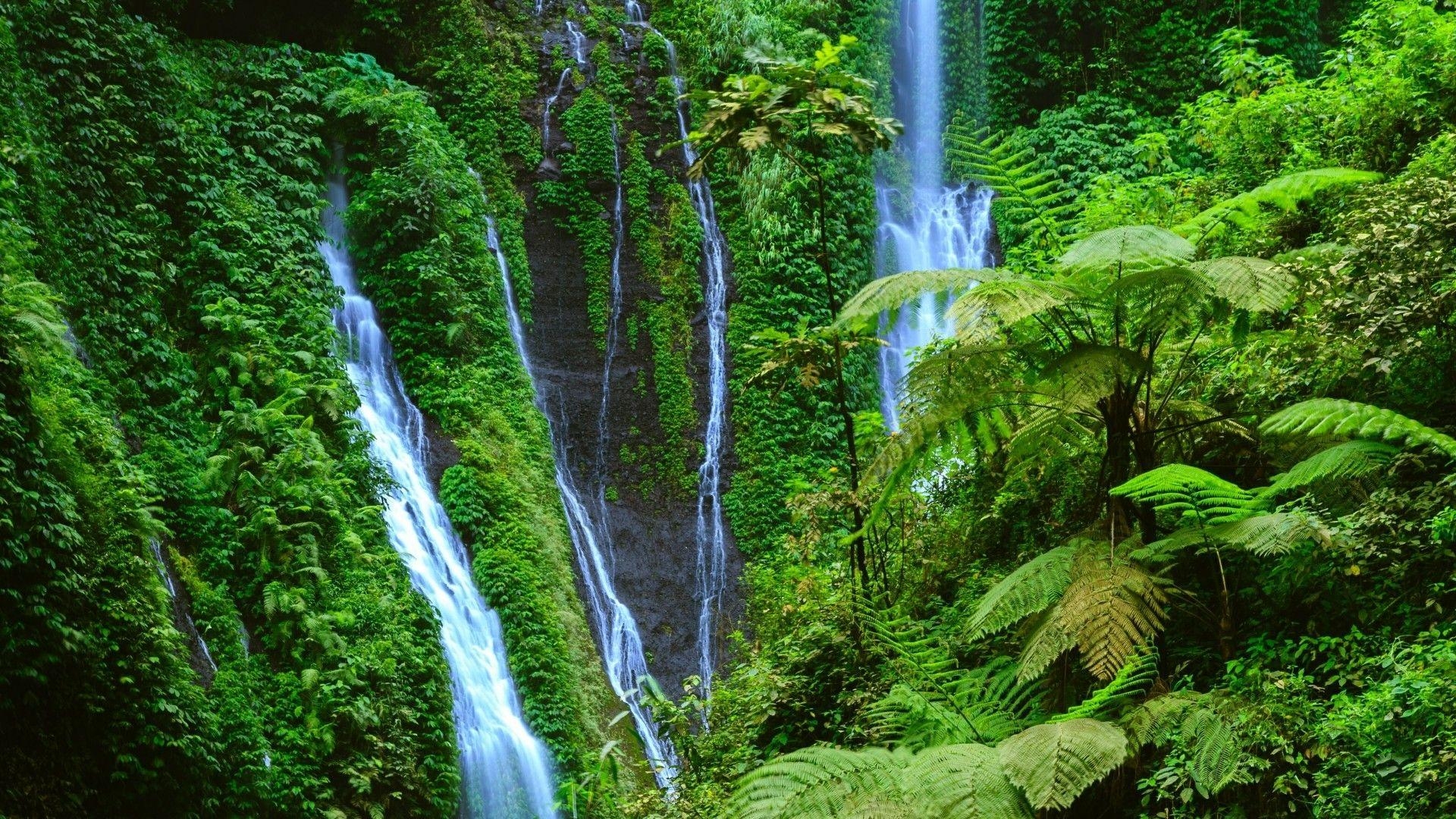 Madakaripura Wasserfall, Tengger, Nationalpark, Indonesien, Natur, 1920x1080 Full HD Desktop