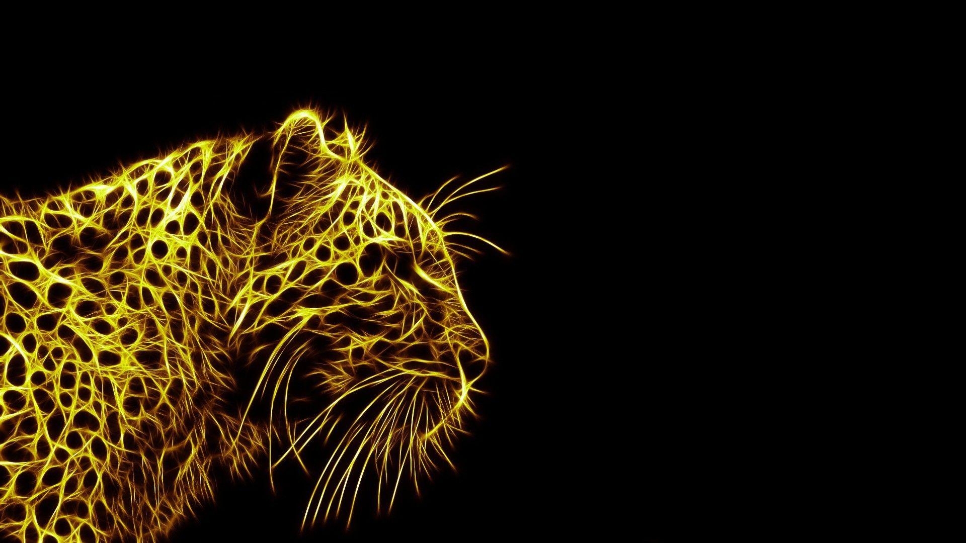 Schwarzer Leopard Hintergrund Tier Bild, 1920x1080 Full HD Desktop