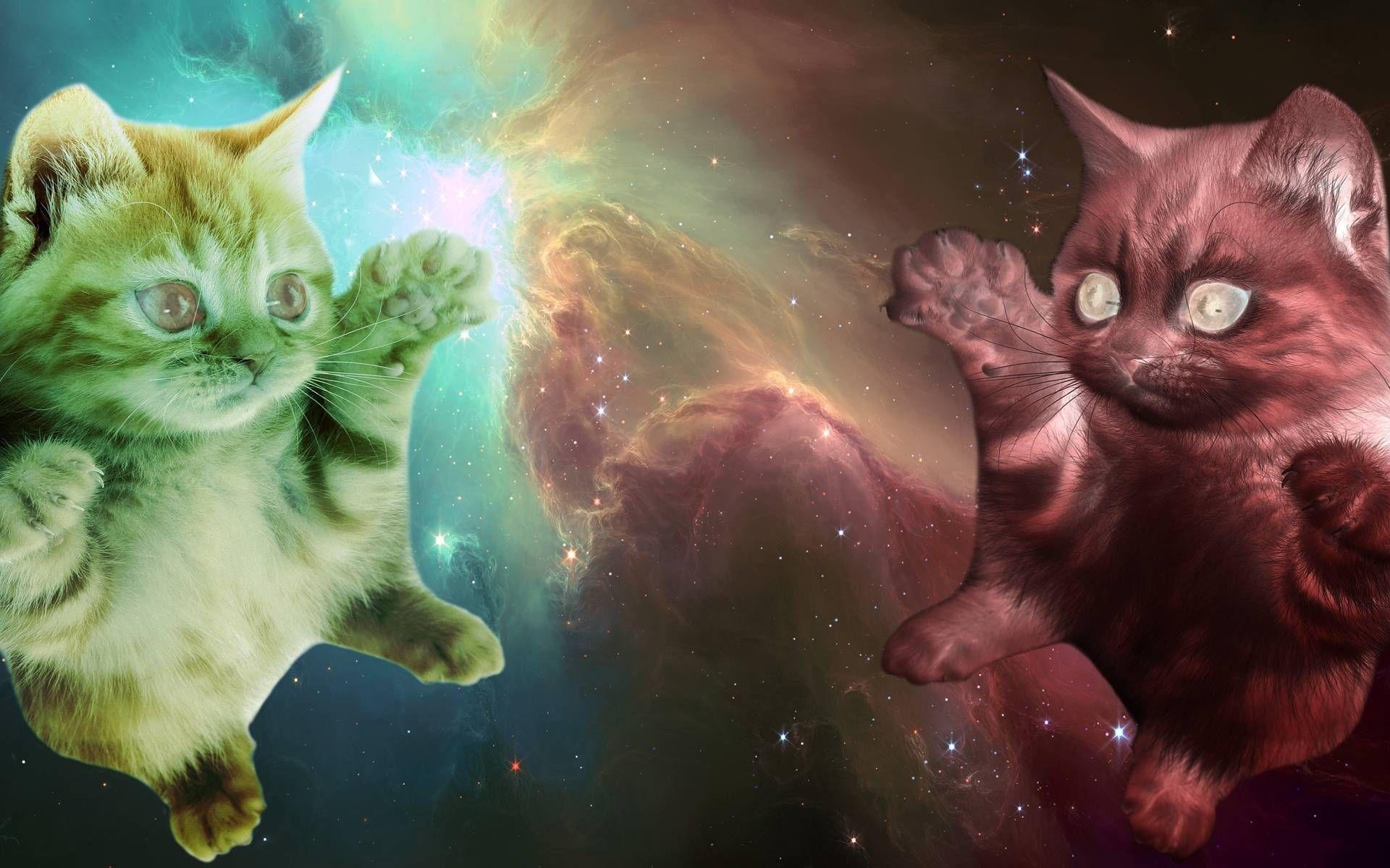 Galaxie Katze, Weltraum, Original, Einzigartig, Kreativ, 1920x1200 HD Desktop