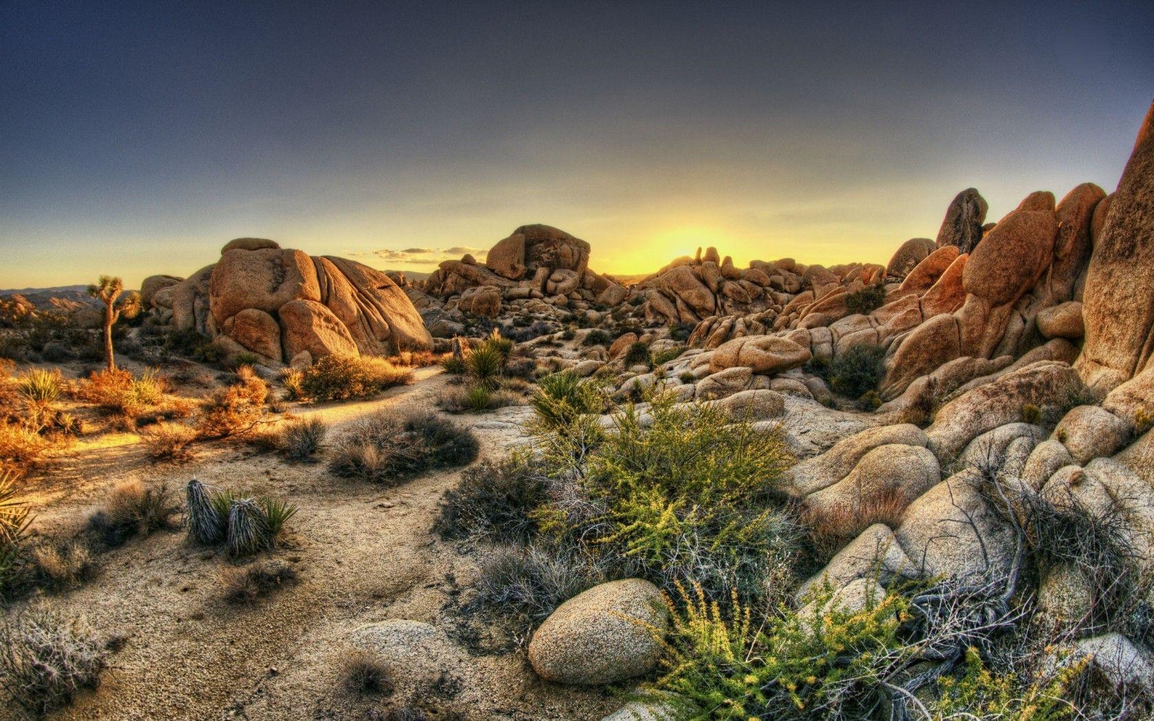 Joshua Tree, Nationalpark, Hintergrundbild, Landschaft, Natur, 1680x1050 HD Desktop