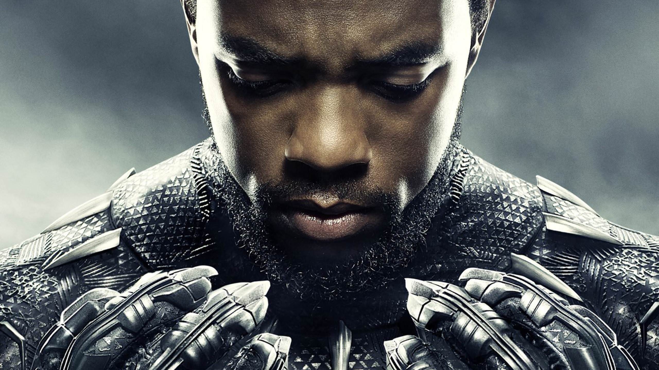 Black Panther Film, Marvel, HD, Kino, Bild, 2560x1440 HD Desktop