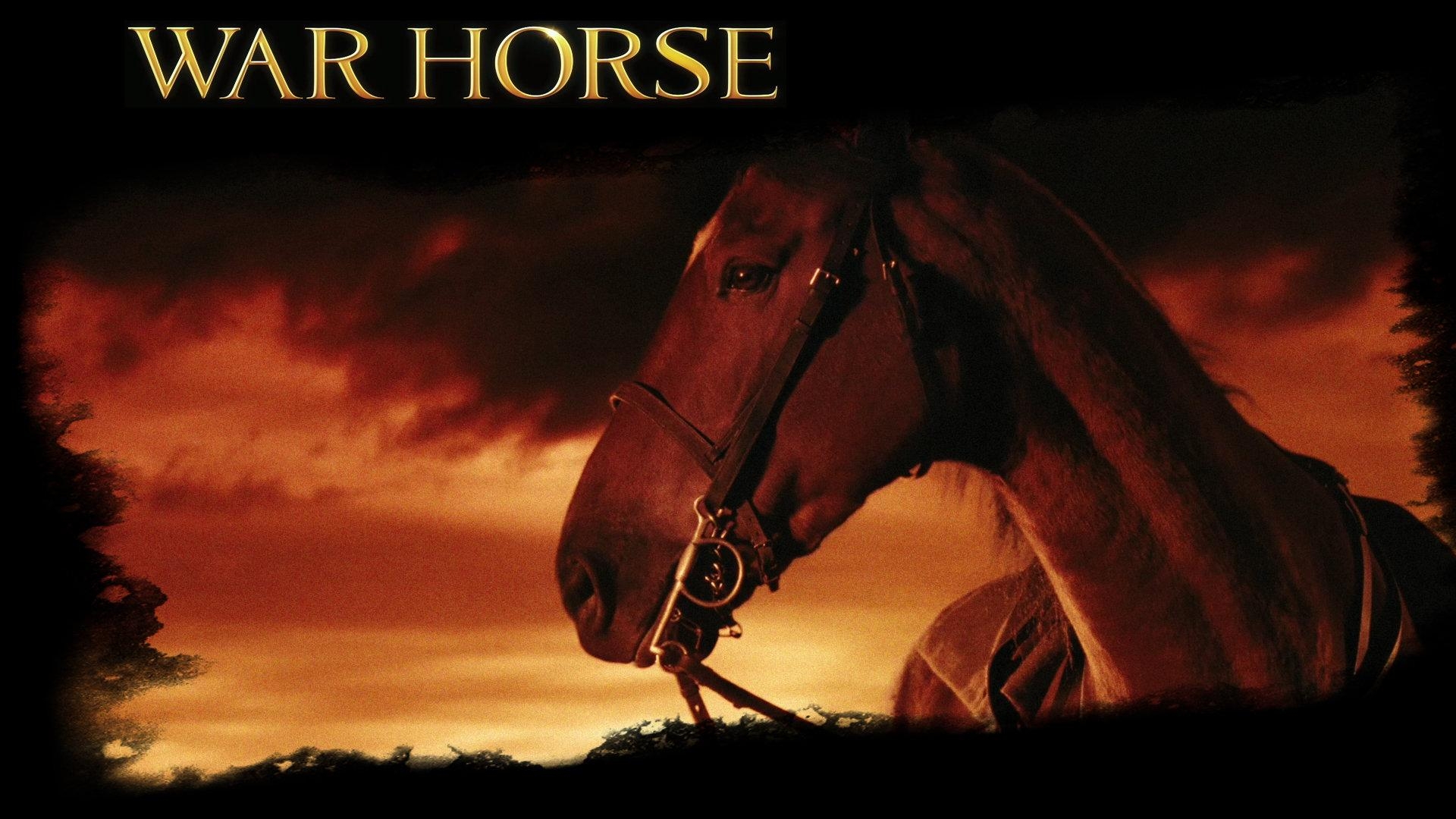 War Horse Film, Pferd, Kino, Kriegsdrama, Geschichte, 1920x1080 Full HD Desktop