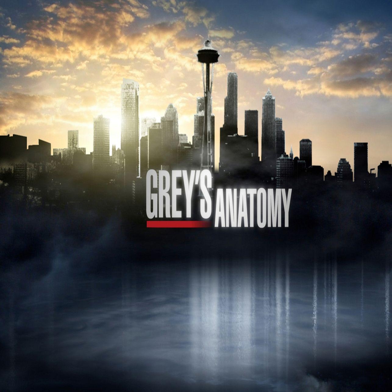 Grey's Anatomy, TV-Serie, Ärzte, Krankenhaus, Drama, 1290x1290 HD Handy