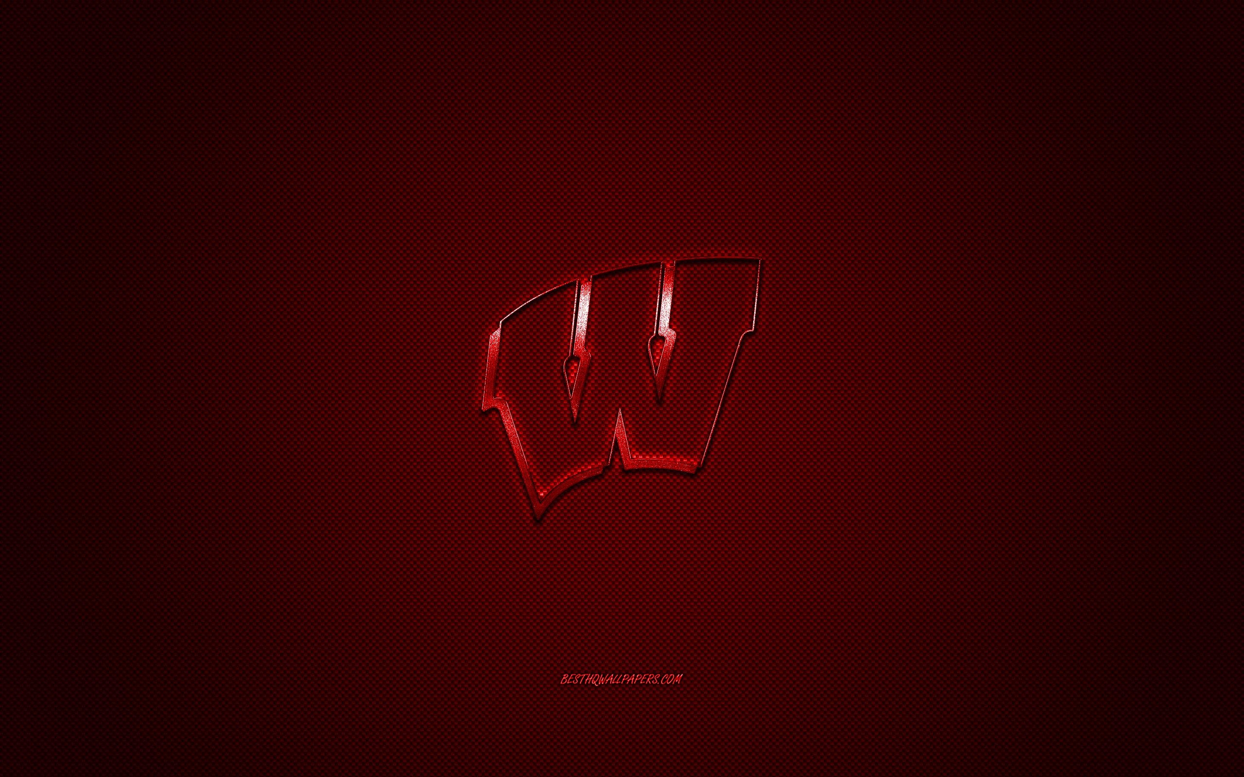 Wisconsin Badgers, Logo, NCAA, Football, Madison, 2560x1600 HD Desktop