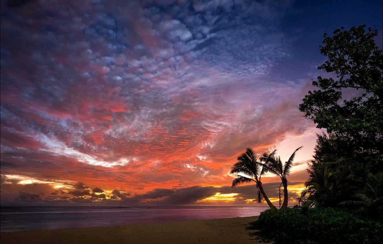 Sonnenuntergang, Palmen, Ozean, Rarotonga, Cook Inseln, 1340x850 HD Desktop