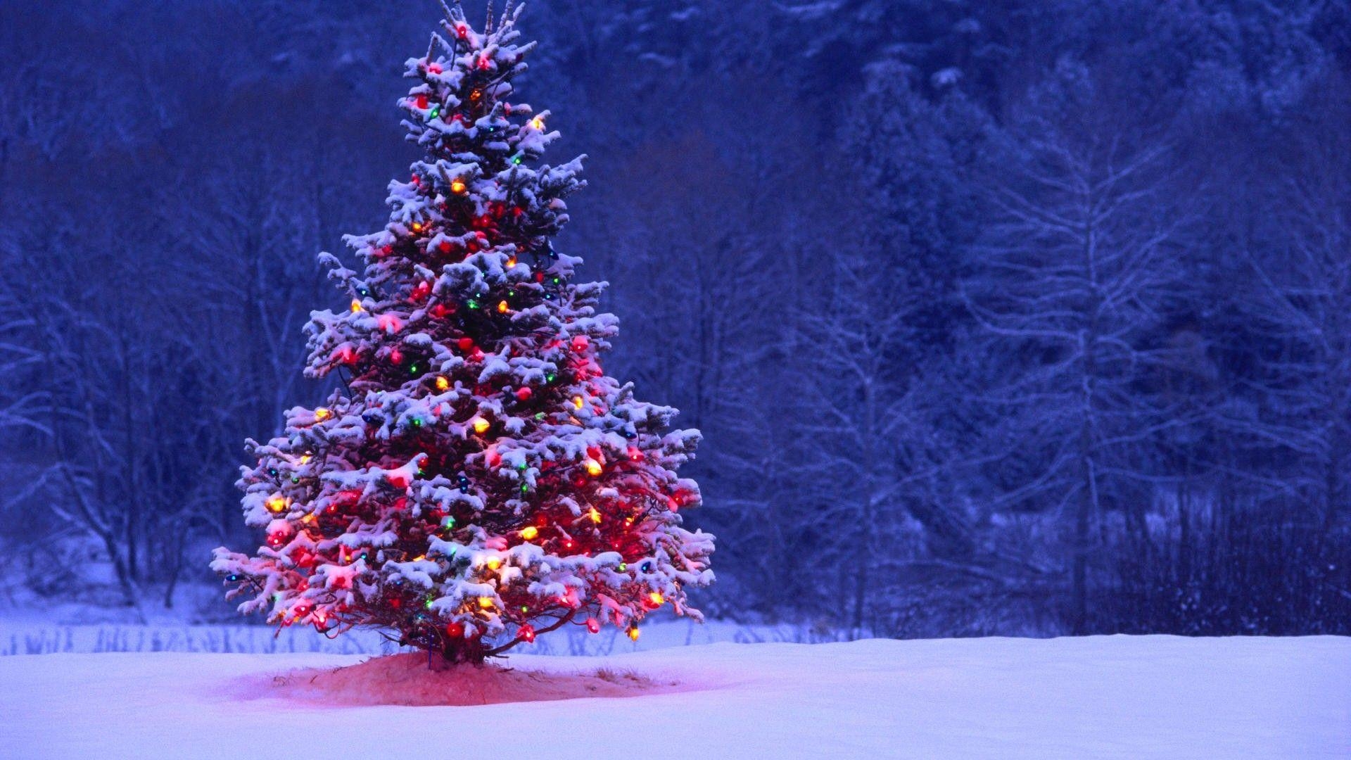 Schnee, Weihnachtsbaum, Lichter, Winter, Festlich, 1920x1080 Full HD Desktop