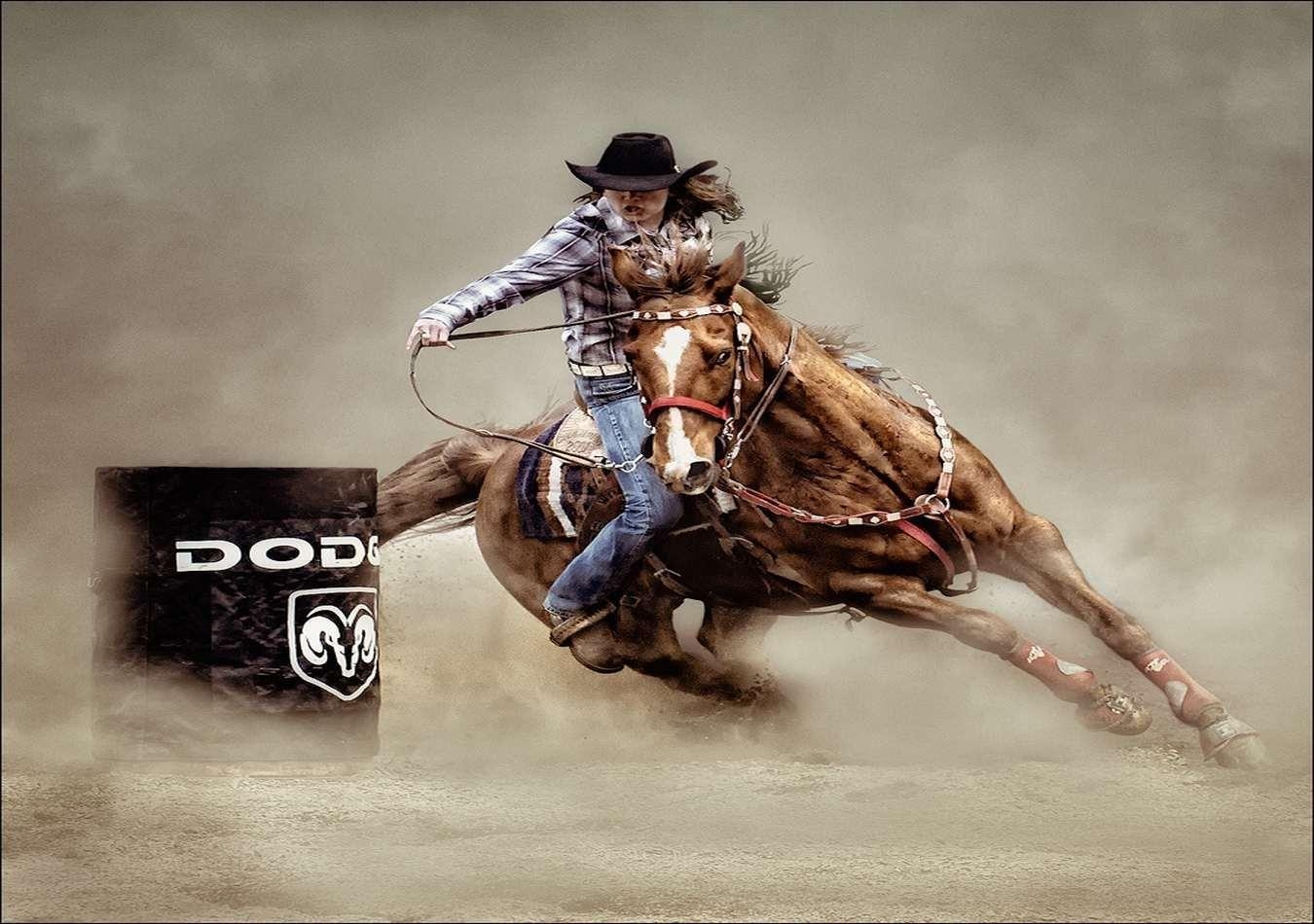 Rodeo, Sport, Western, Cowboys, Stierkampf, 1350x950 HD Desktop