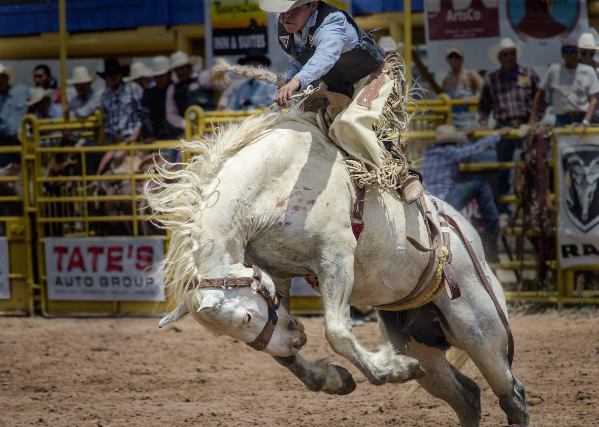 Rodeo, Reiter, Pferdesport, HD, Cowboy, 1920x1380 HD Desktop