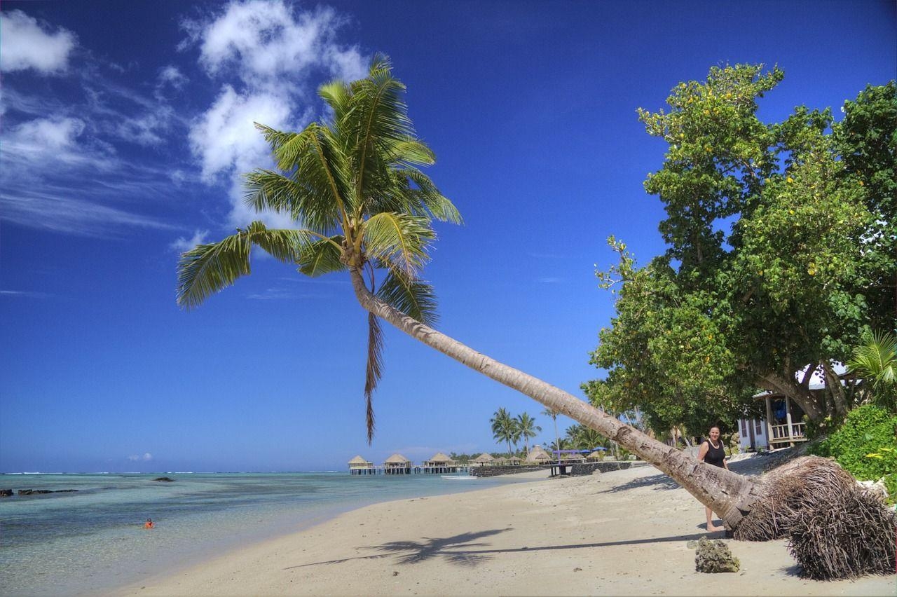 Samoa, Tropen, Strand, Ozean, Palme, 1280x860 HD Desktop