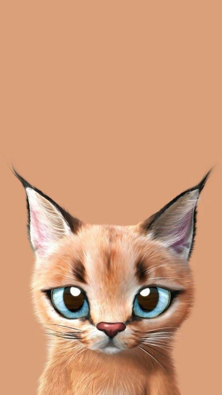 Karakal Katze, Niedliche Katzen, Katze Hintergrund, Tier, 720x1280 HD Handy