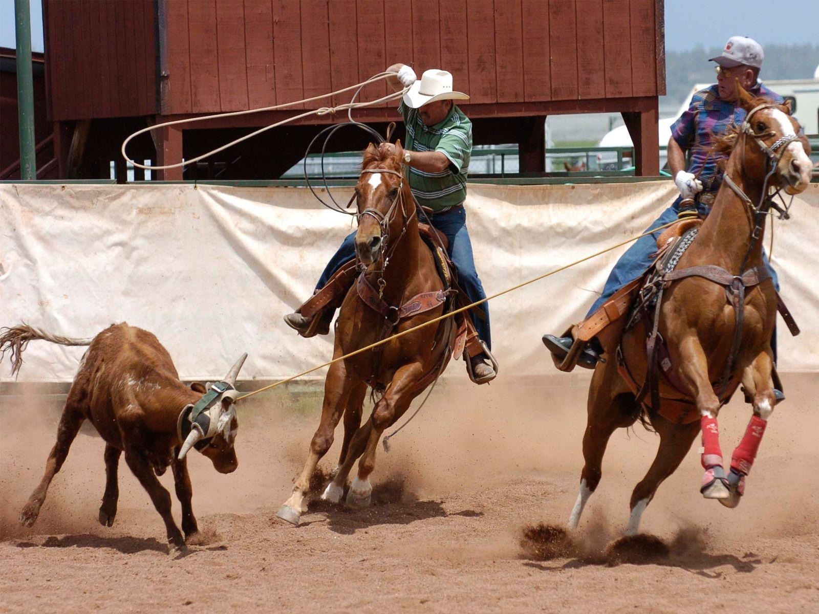 Cowboy, Desktop, Bild, Rodeo, Abenteuer, 1600x1200 HD Desktop