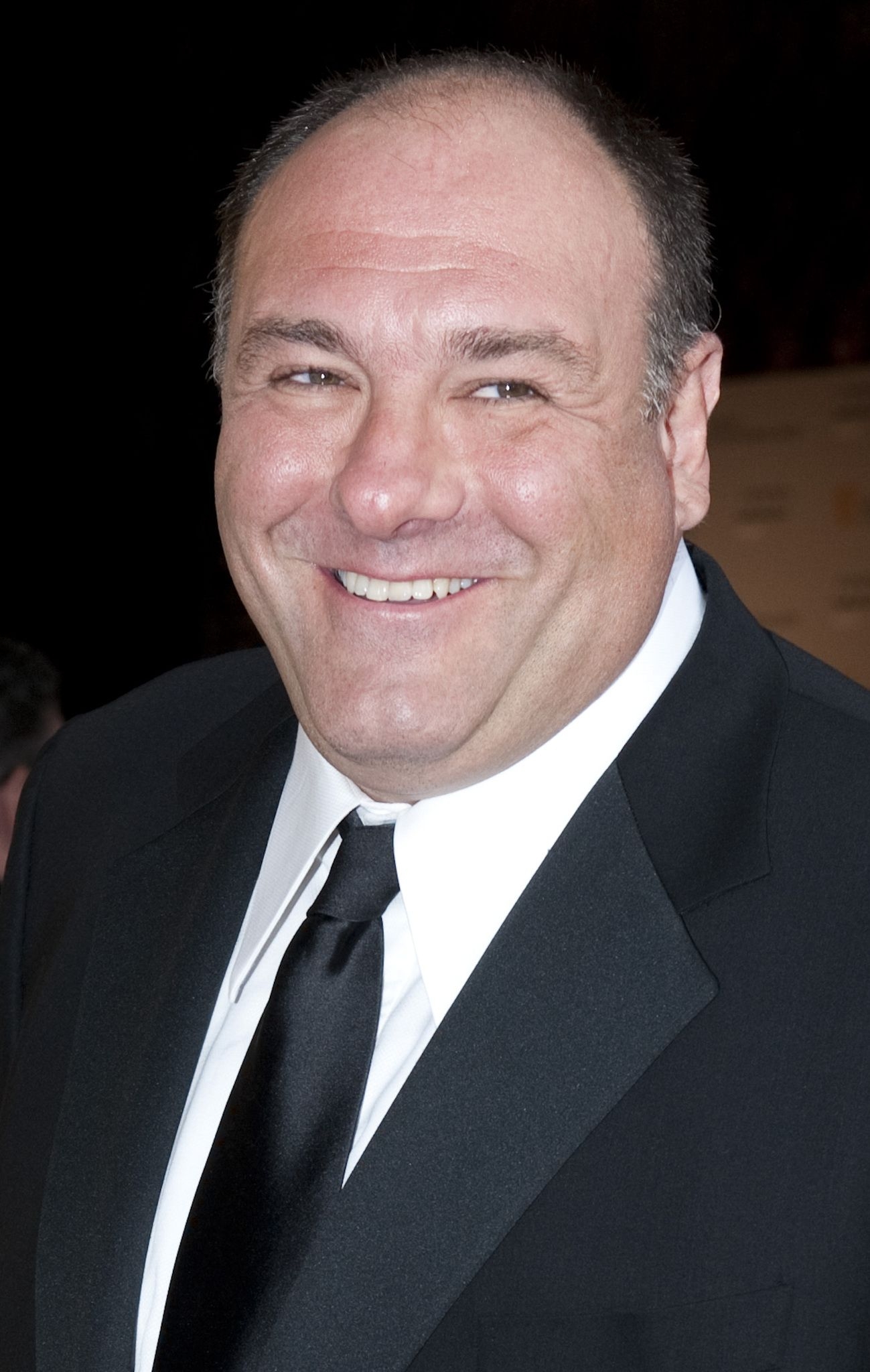 James Gandolfini, Filme, Fernsehen, Serien, Schauspieler, 1300x2050 HD Handy