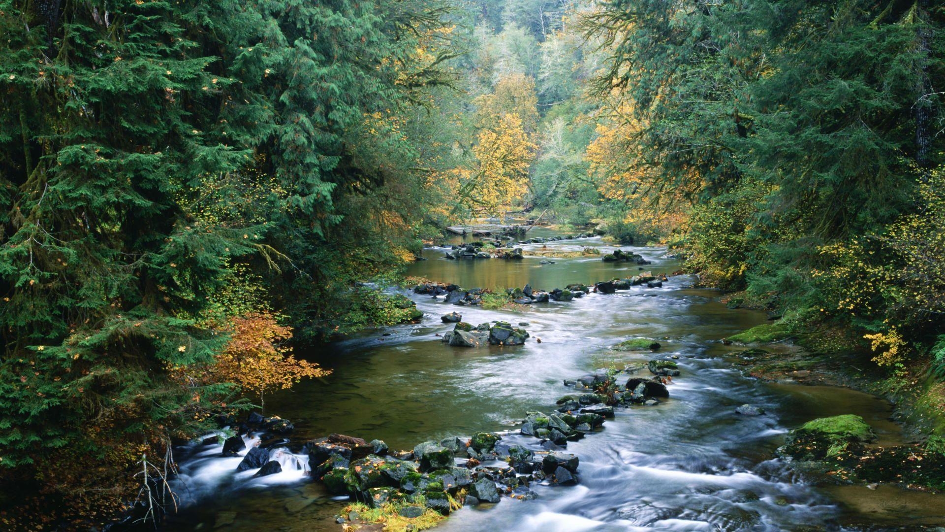 Oregon, Szenerie, Smith River, Wald, Natur, 1920x1080 Full HD Desktop